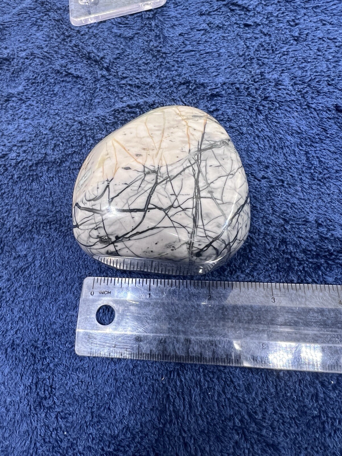 Spiderweb Picture Jasper Large Palm Display Stone Polished 450 Grams (~1 Lb)