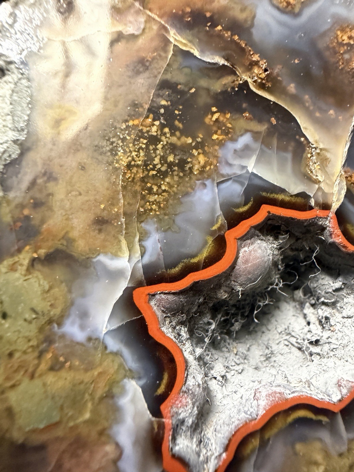 Rare Kentucky Agate Red Yellow Blue | Mirror Polished Half Estill County KY