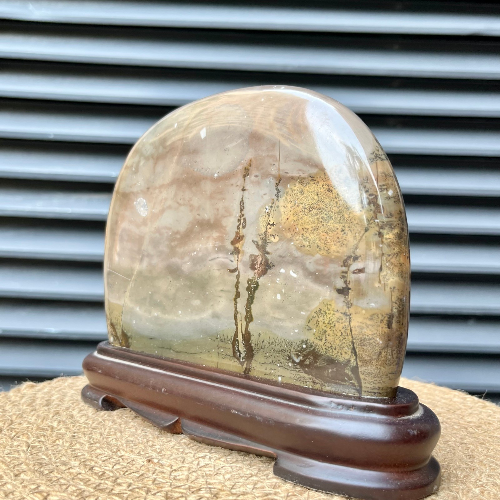 Natural Stone Display Polished Scenic Pattern Art w/ Stand 5.8 lb