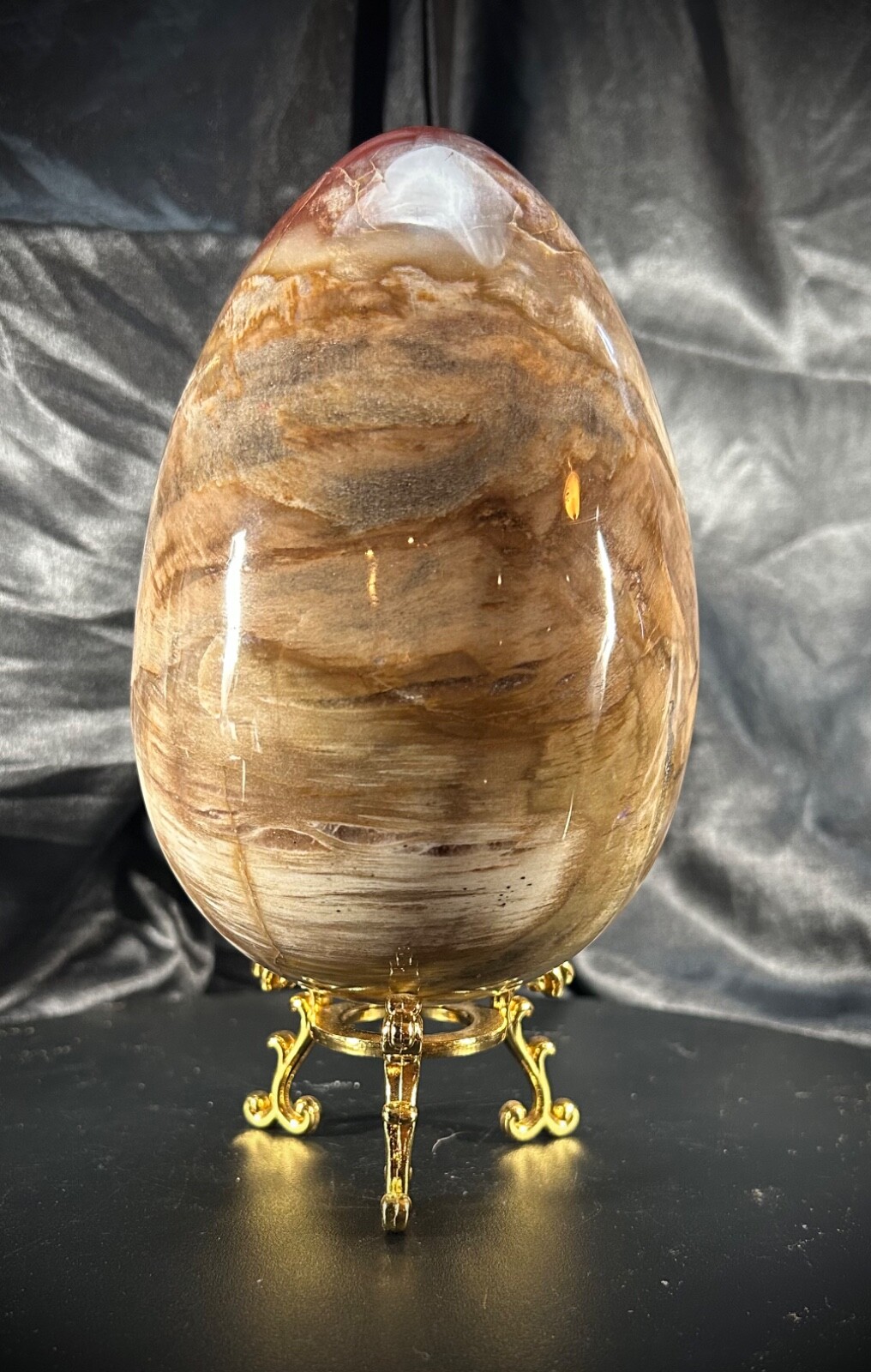 5lb 4.2oz Petrified Wood Egg with Metal Stand