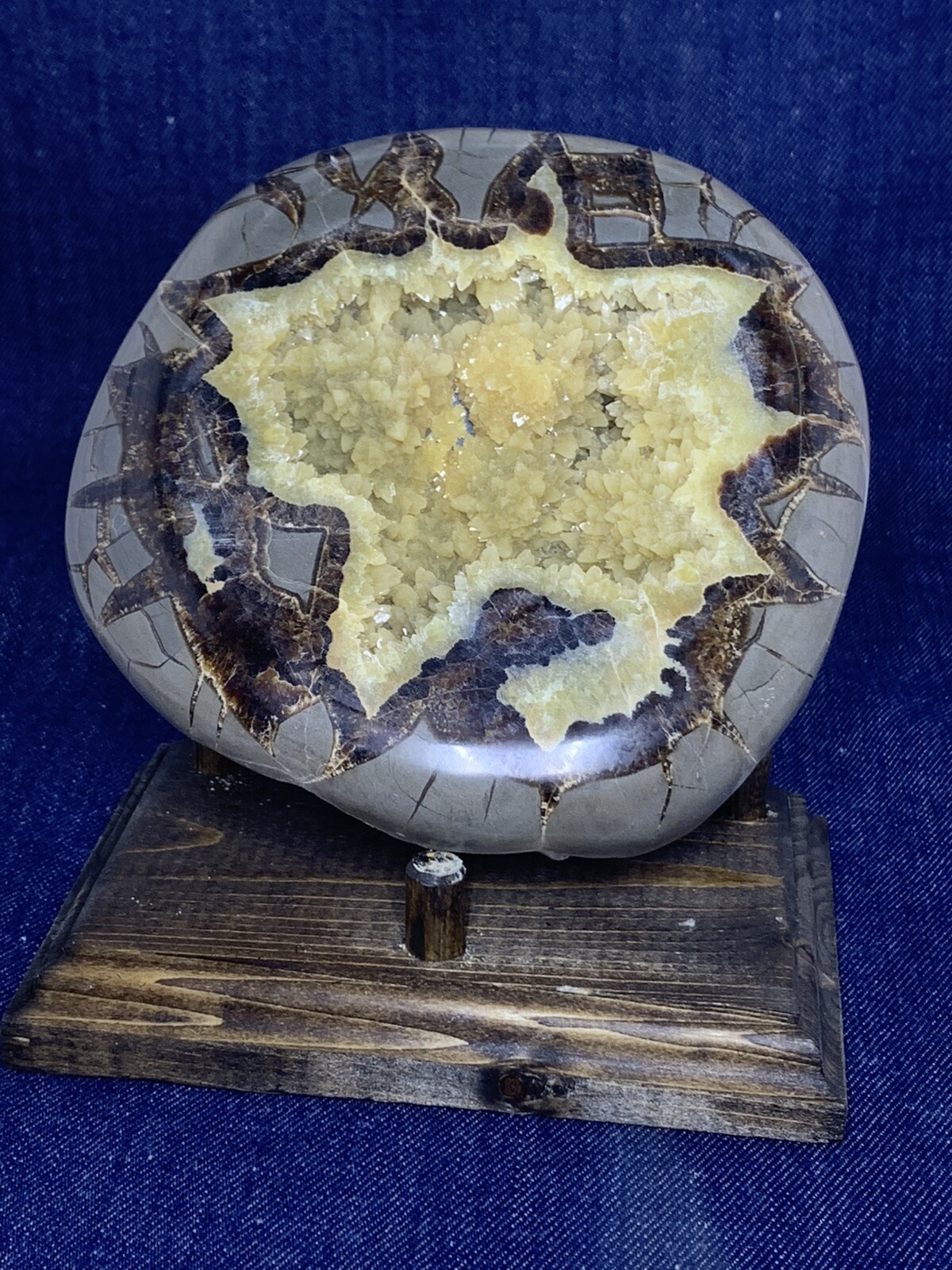 Septarian Nodule Hollow Half ( Utah)with Stand And Description Card