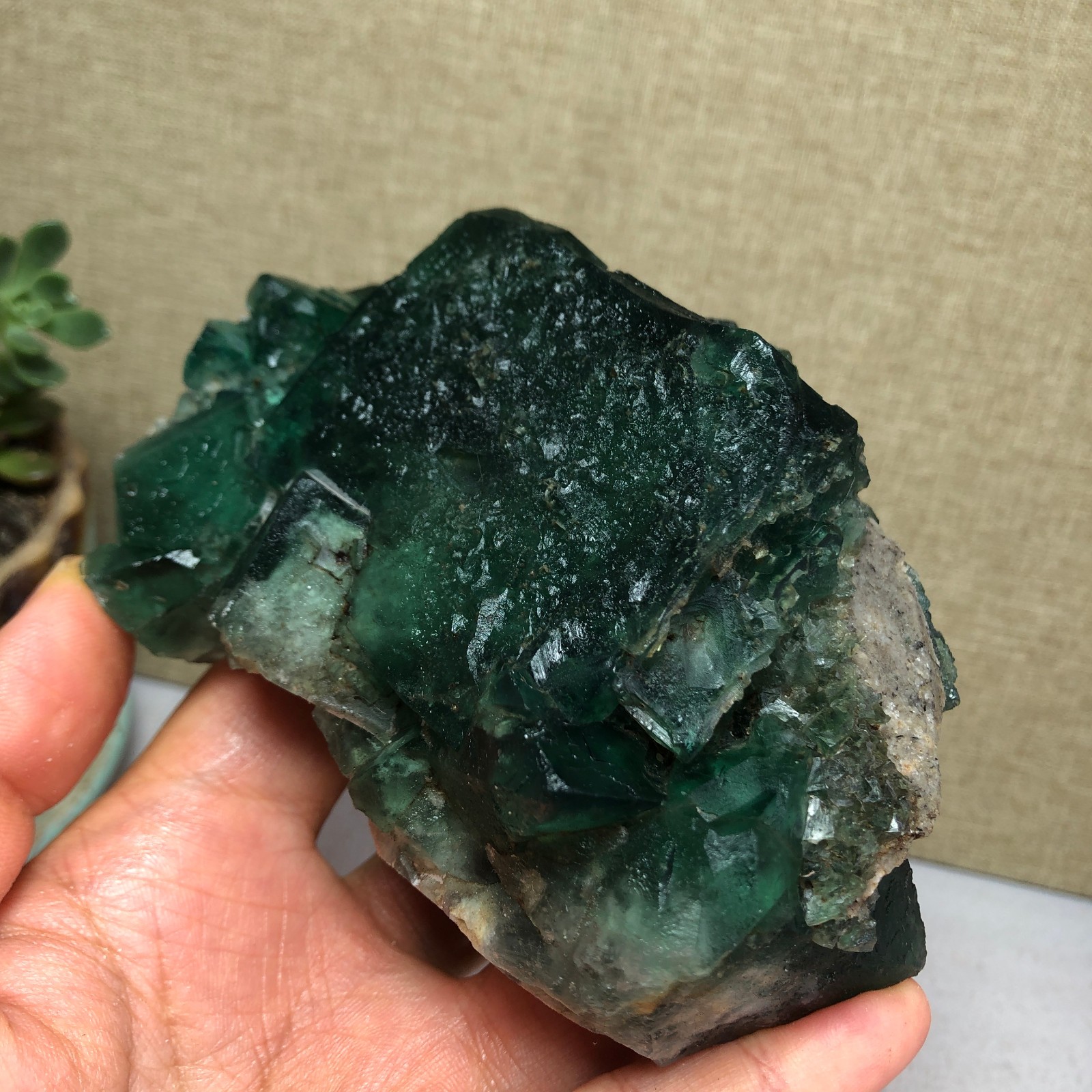 681g NATURAL Green Cubic FLUORITE Crystal Cluster Mineral Specimen A4721