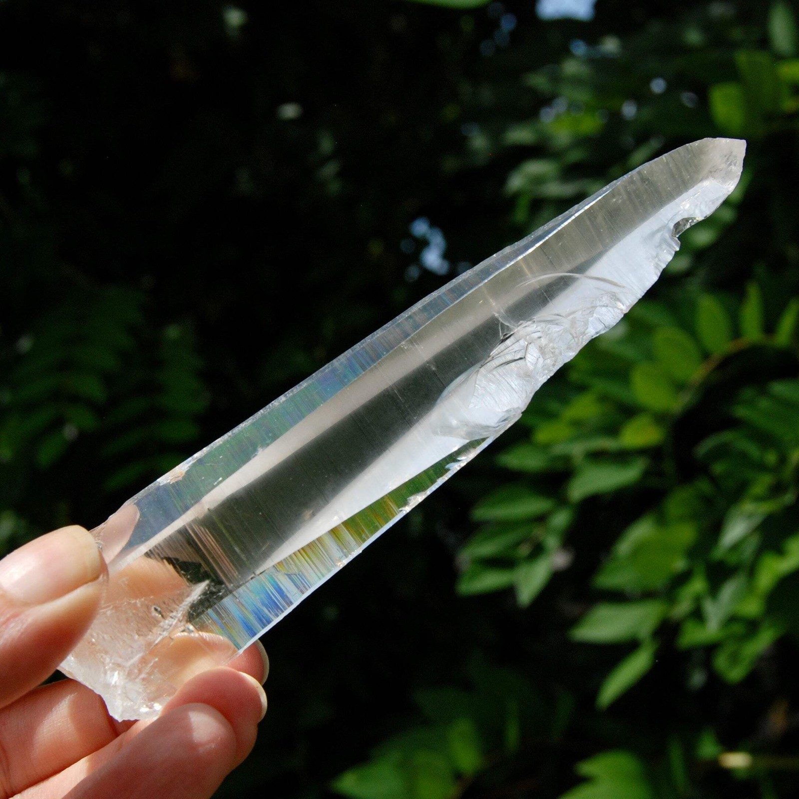 Lemurian Crystal Laser Starbary – 5.25″ 111g Etched Optical Empathic Warrior Qua