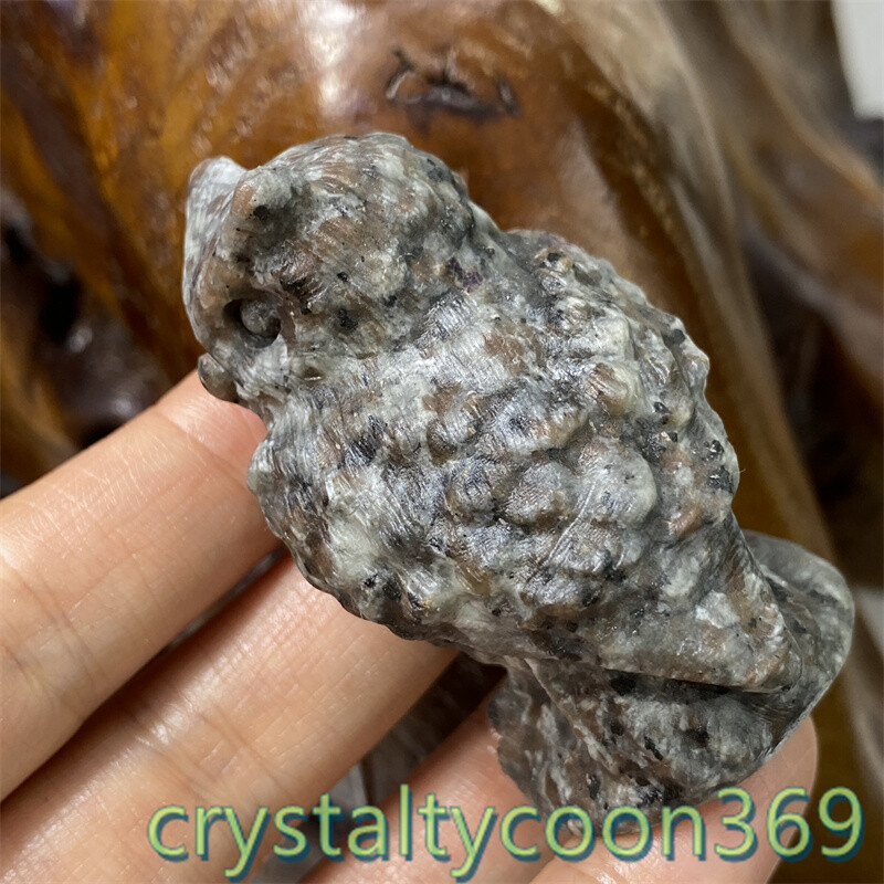 2.3″ Natural Yooperlite Quartz Crystal Skull Hand Carving Owl Reiki Healing 1pc
