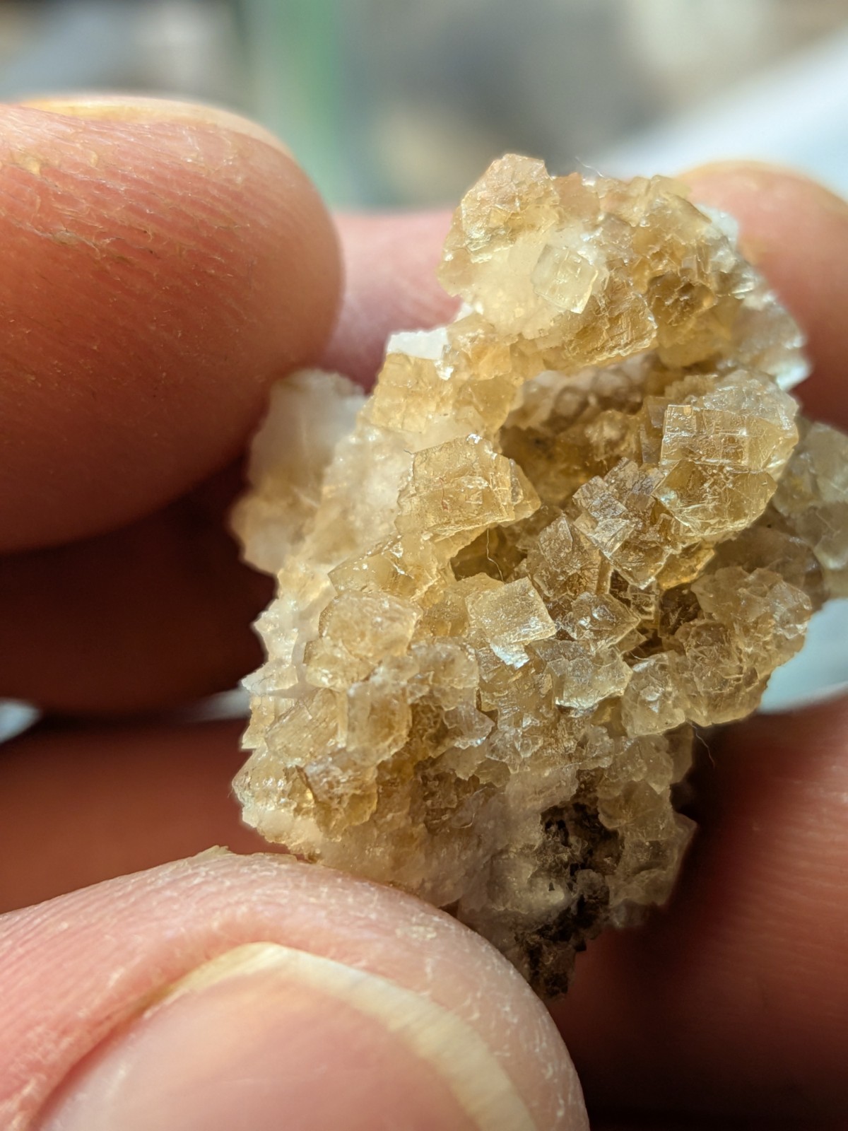 Brown Fluorite Cluster with Quartz Fluorescent Western Kentucky USA