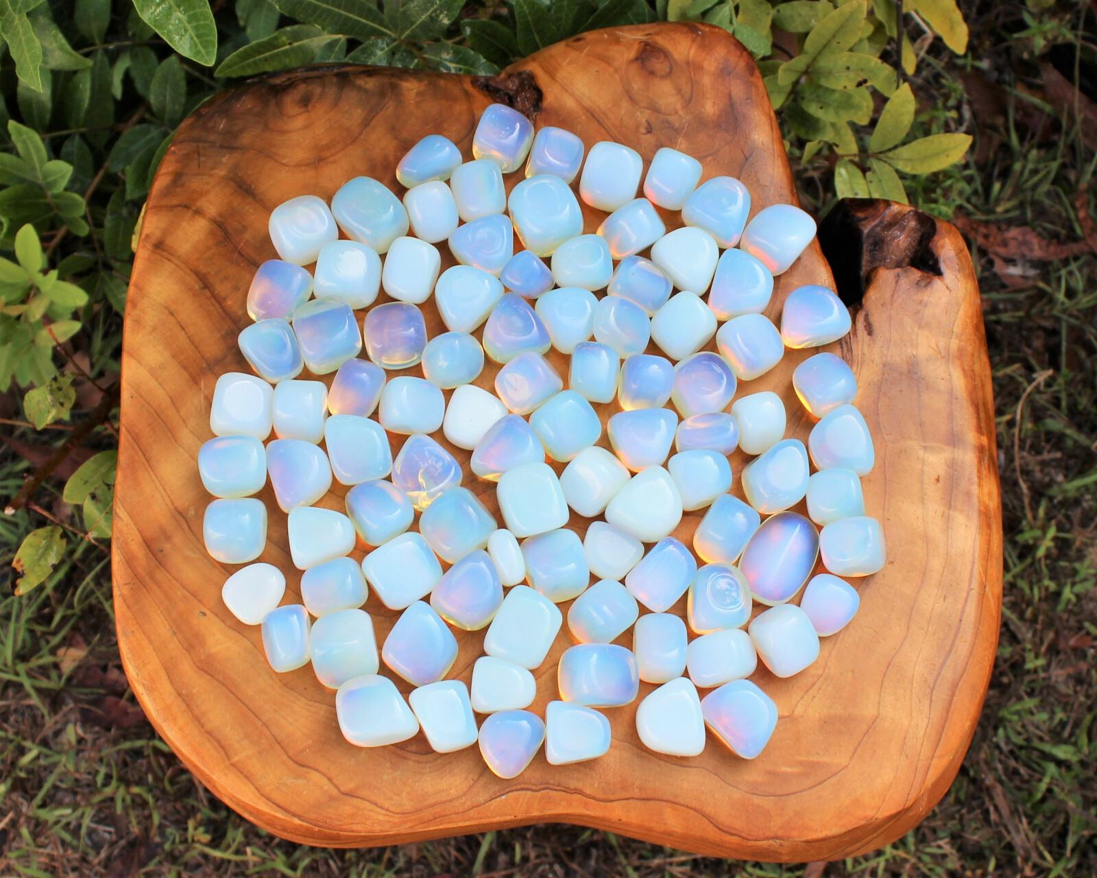 1/2 lb Bulk LARGE Opalite Tumbled Stone Crystal Healing Gemstone 8 oz