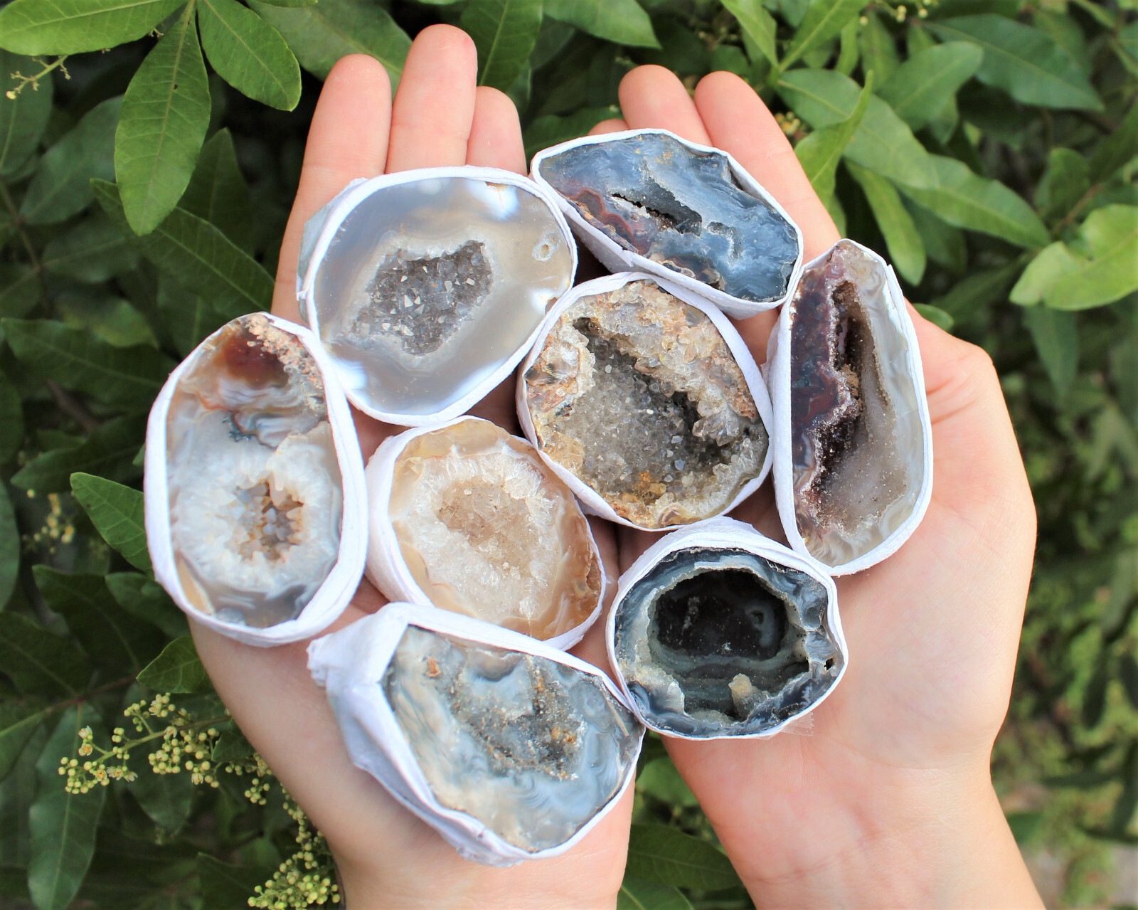 Bulk Large Oco Agate Geodes 1/4 lb Lot, Natural Crystal Druzy Halves (4 oz)
