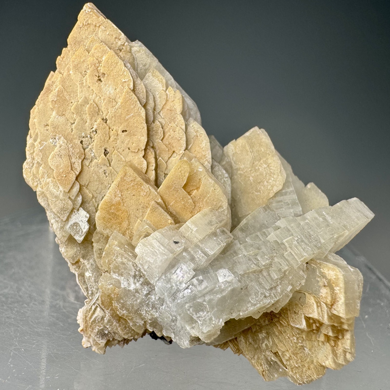 Fine Baryte Crystal Group: Paga No. 1 Mine, Cartersville, Georgia- Classic!!