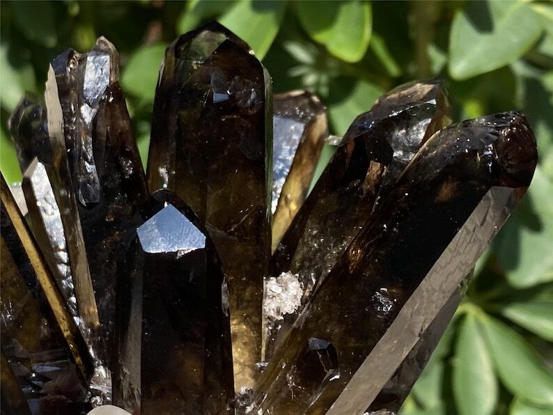 A+++ 300g+ Smokey Quartz Cluster Quartz Crystal Cluster Healing mineral gift 1pc
