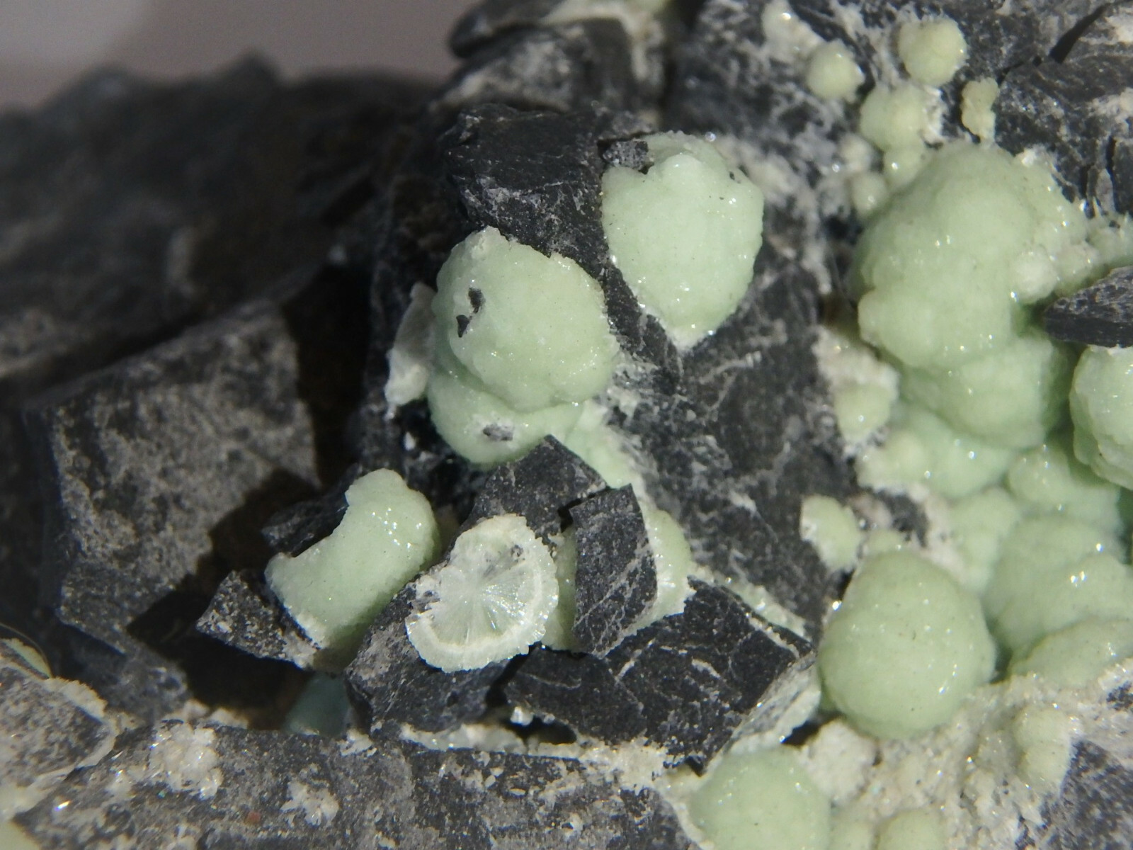 1 Lb 12 oz Wavellite in Matrix Montgomery County Arkansas 793 grams