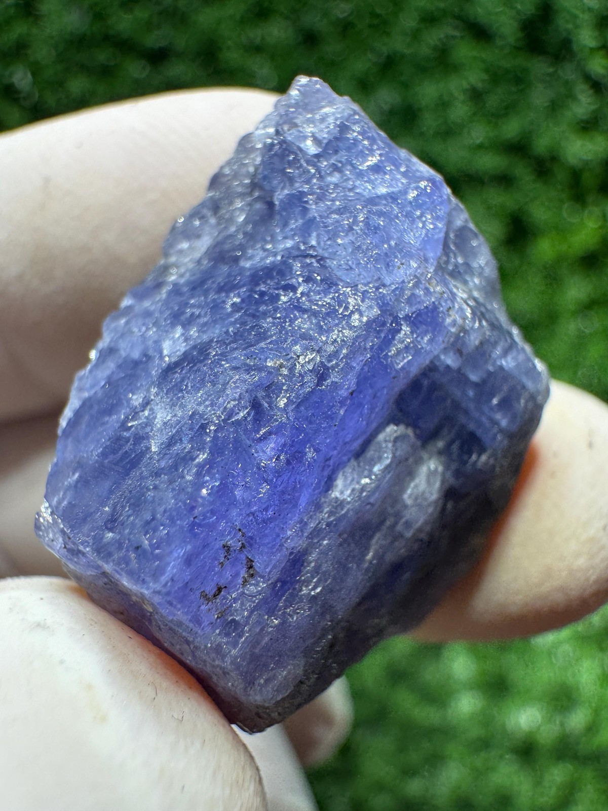 Amazing TANZANITE Crystal with COLOR CHANGE under yellow/white light / N441