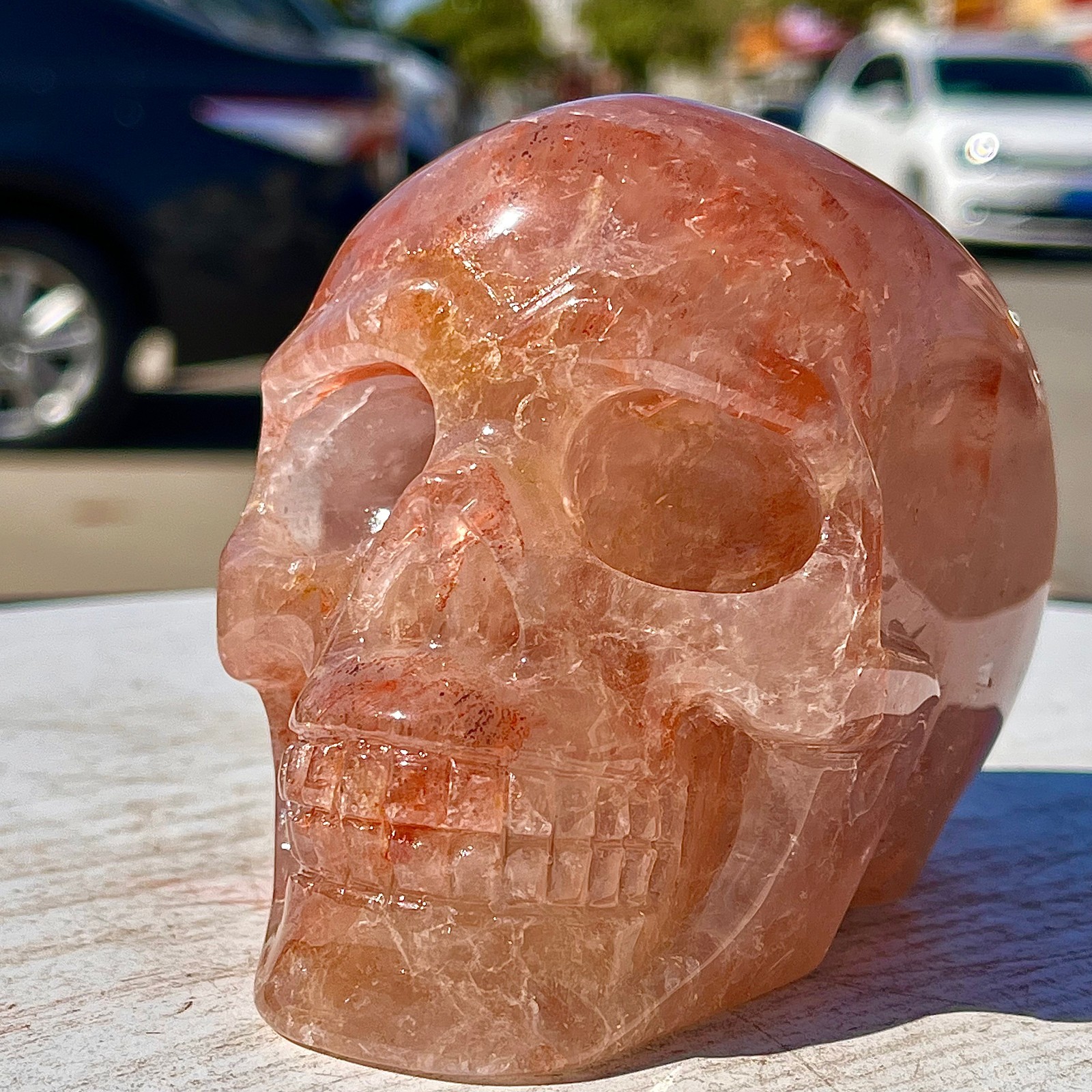 2.53LB Natural dreamy red gum flower skull hand carved skull healing