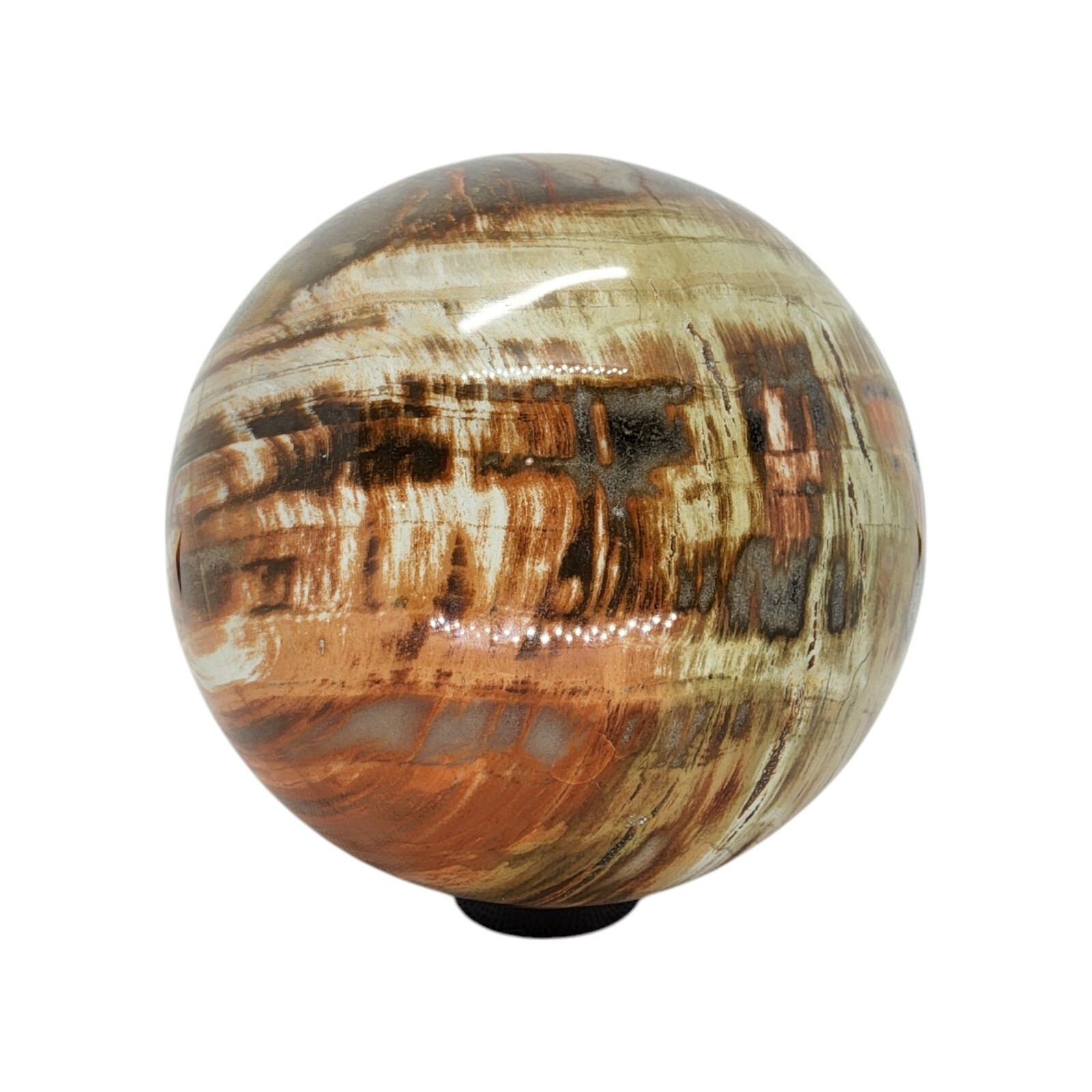 Petrified Wood, 3.75″, sphere, display specimen, #R-6529