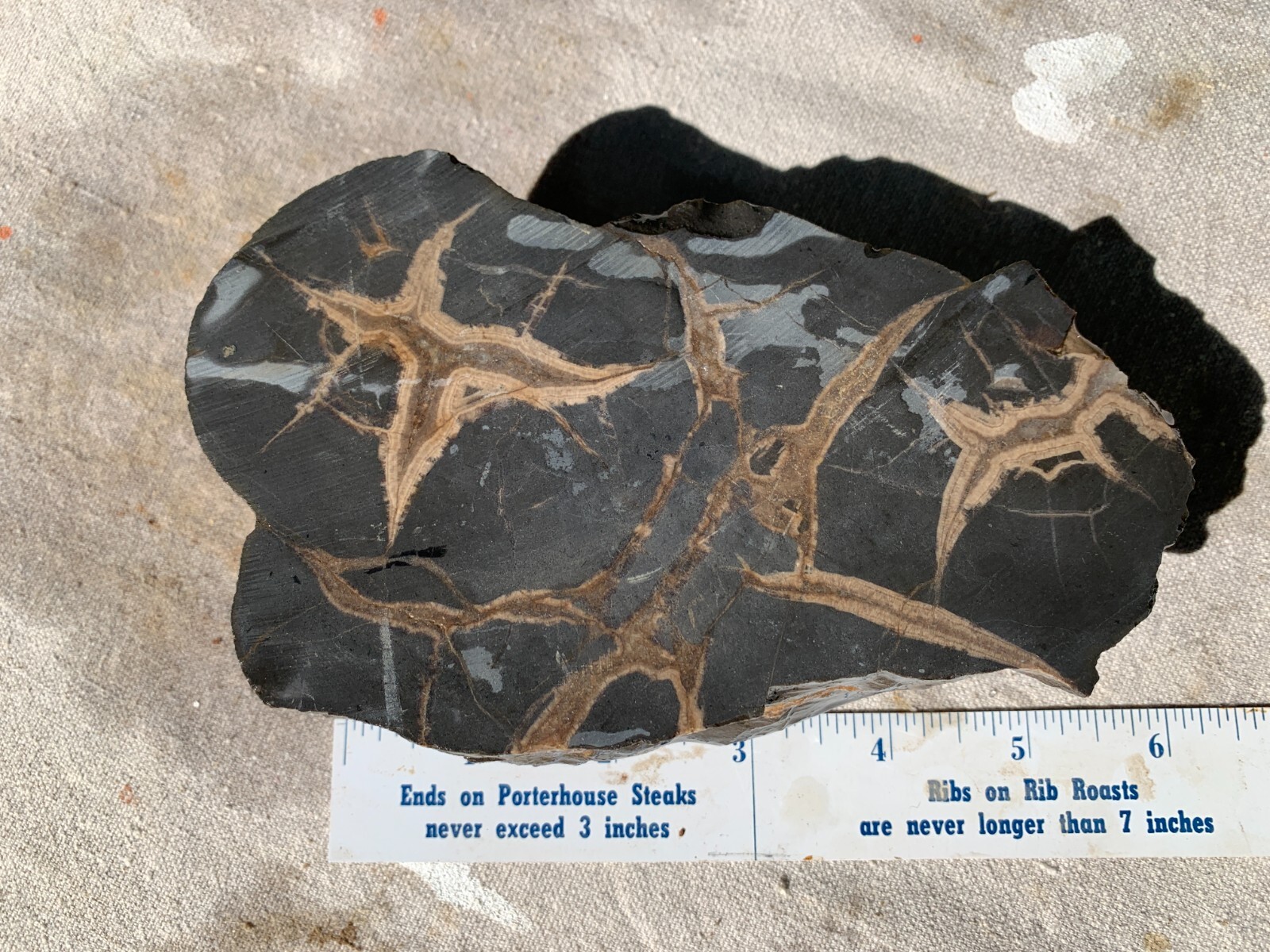 ☆1.2LB (650Gr) 6 Inch Septarian DOUBLE Nodule 1/2 Geode Mineral from Utah☆723