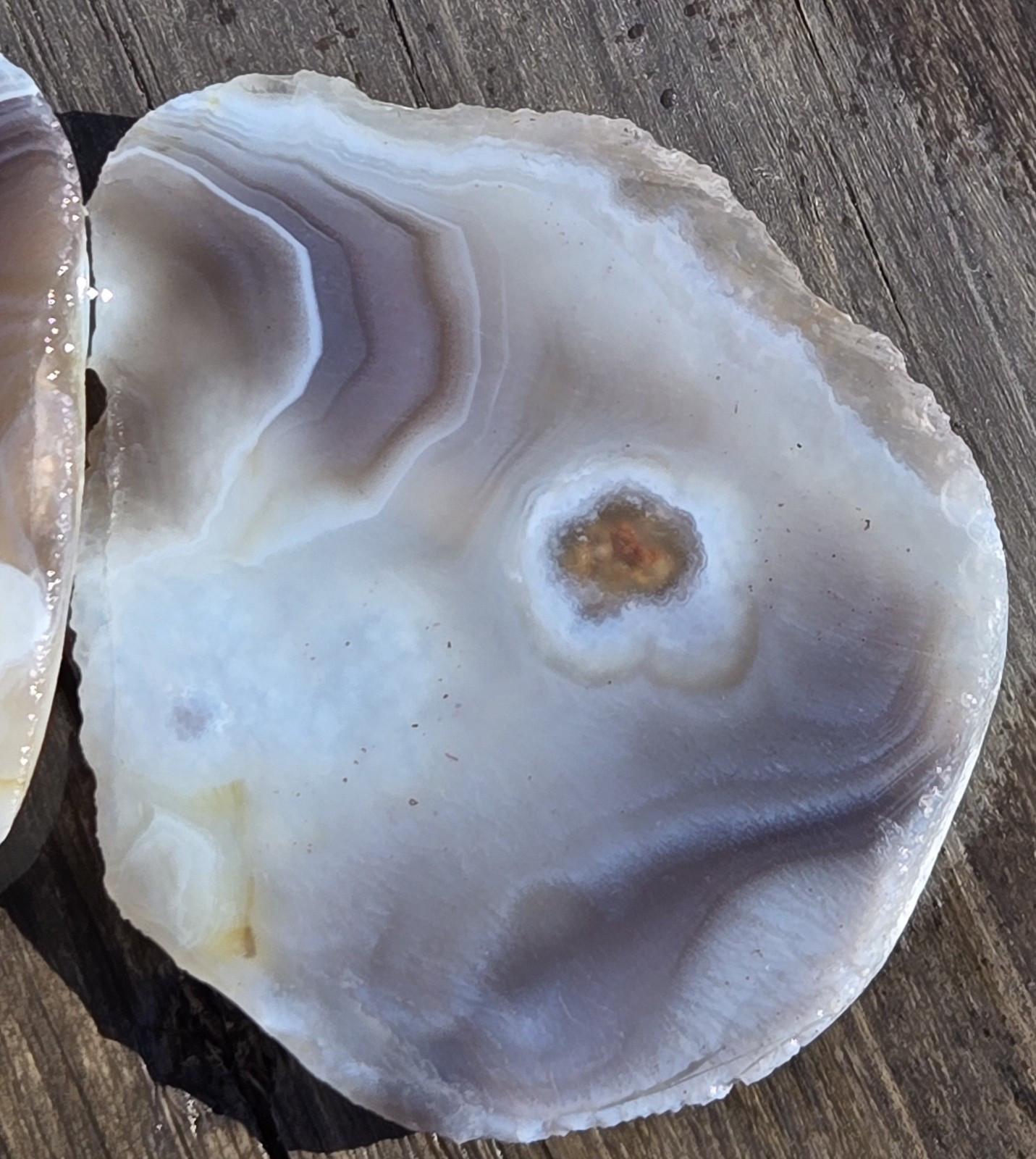 Botswana Agate Cut In Half – Rough, Natural, Not Polished
