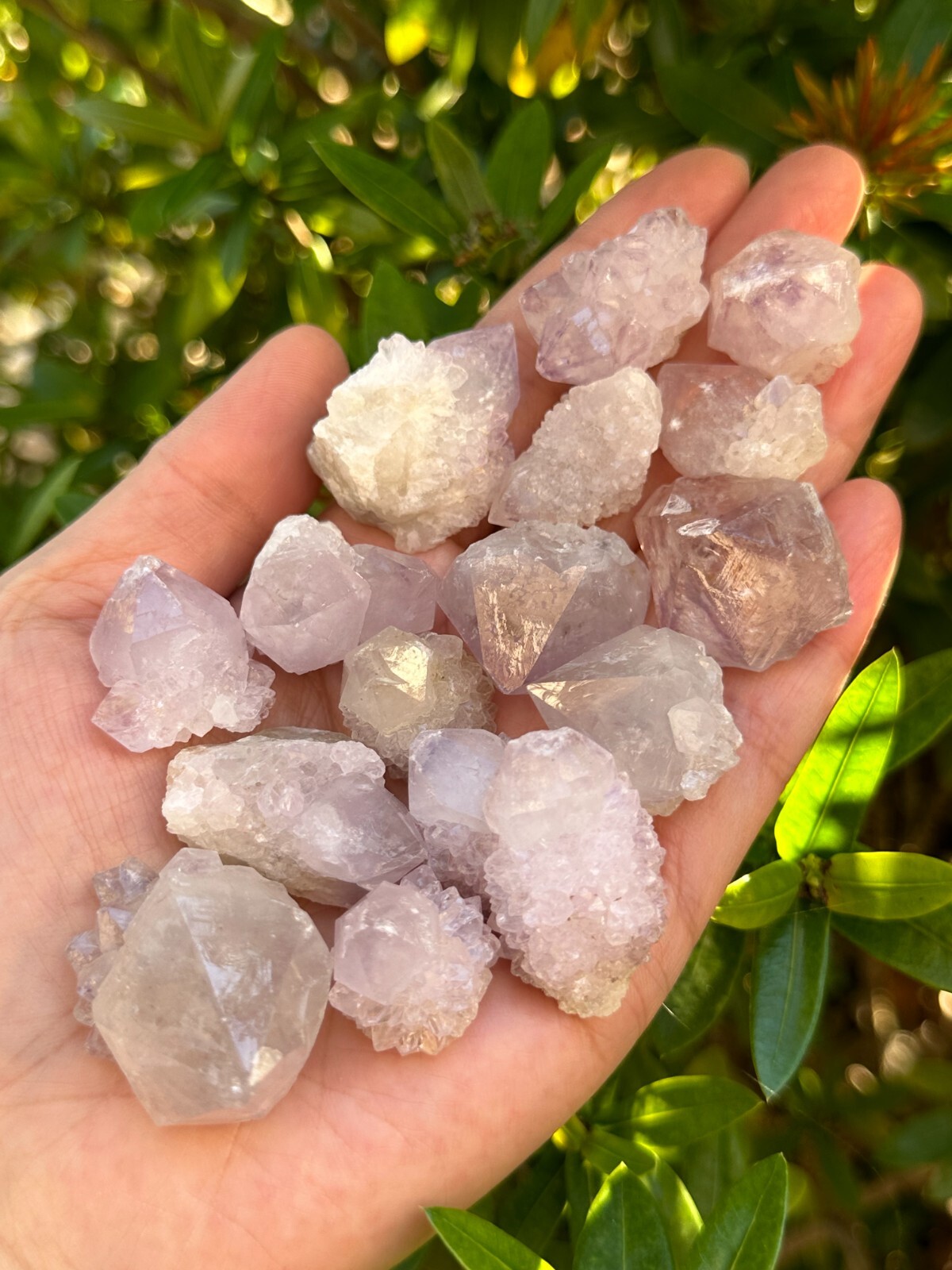 Spirit Quartz Clusters Crystal Collection Box: 6 – 7 oz Box Lot, 11 – 14 Pieces
