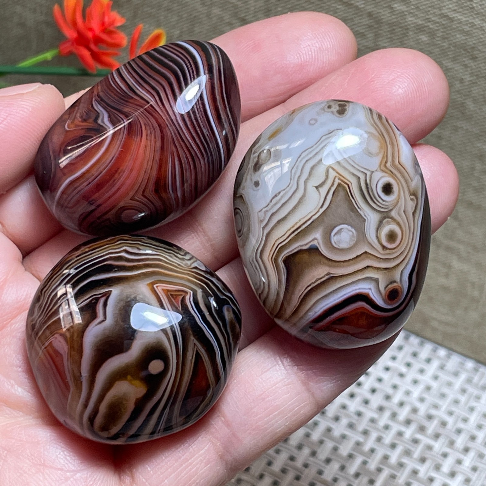 3pcs Crazy Lace SILK Banded Agate Polished Tumbled Stone Madagascar Decor 84g