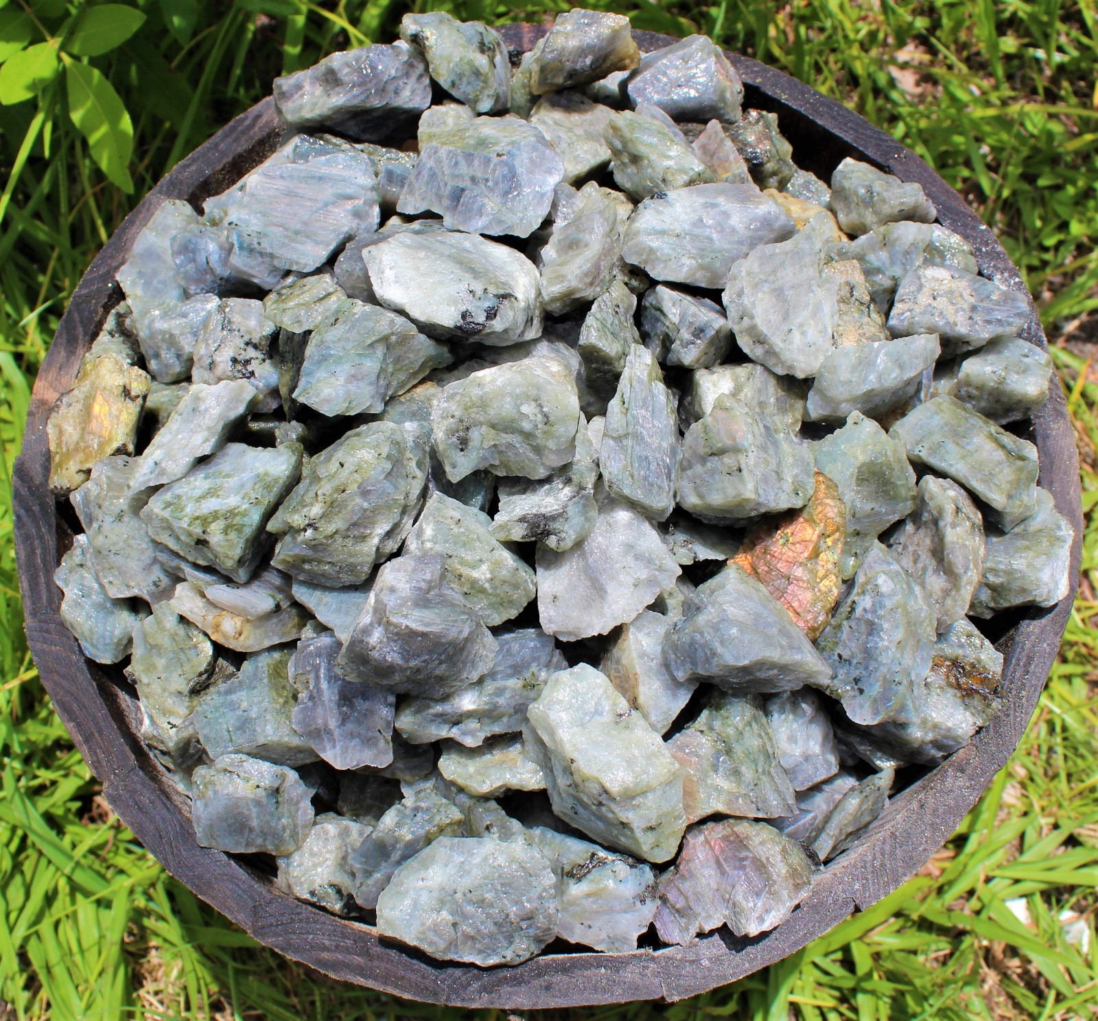 11 lb Wholesale Rough Stone Buckets – Chose Your Gemstone (Raw Crystal Bulk Lot)