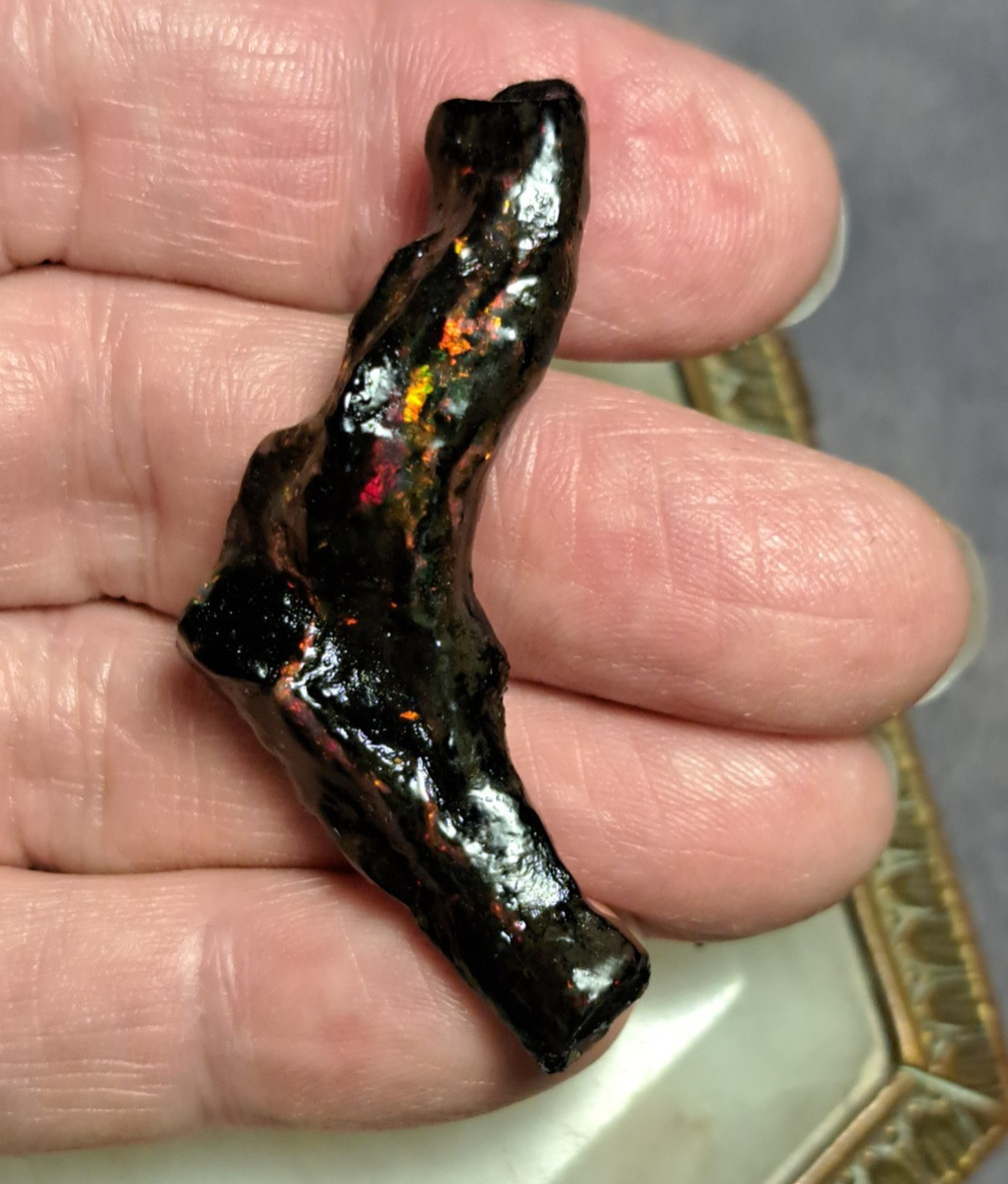 Huge Multicolor 38.52ct Indonesian Wood Opal Fossil Red, Green, & Yellow Flashes