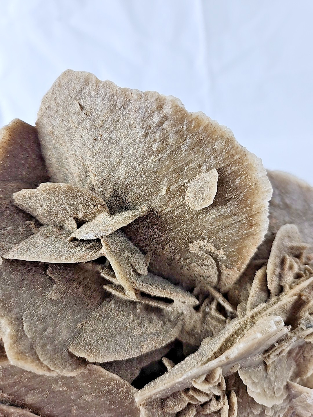 6 LB 7 OZ 2.94 kg Selenite Desert Rose Gypsum Minerals Crystals