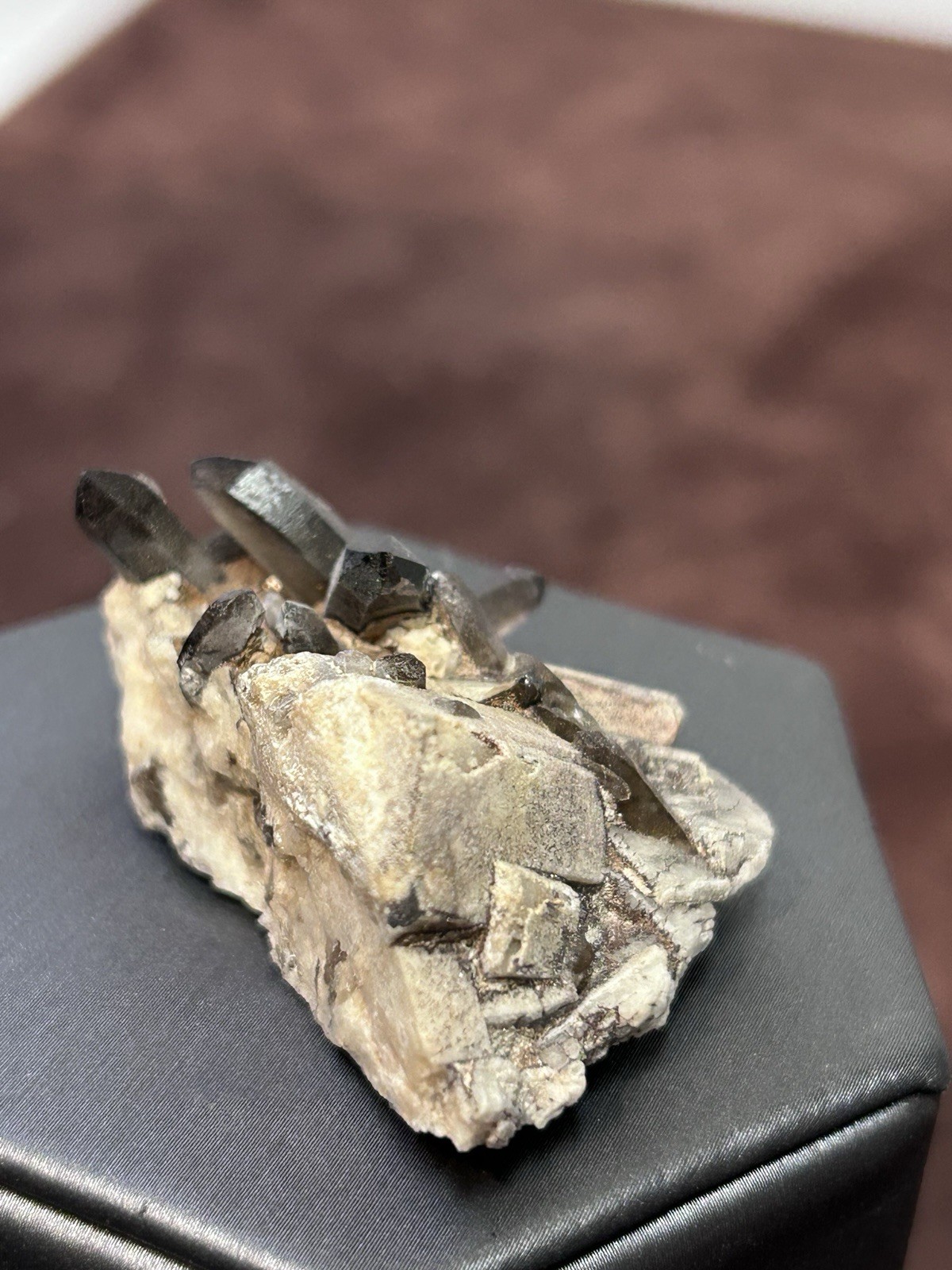 Smoky Quartz on Microcline Colorado Crystal Lined Pocket Miniature Mineral