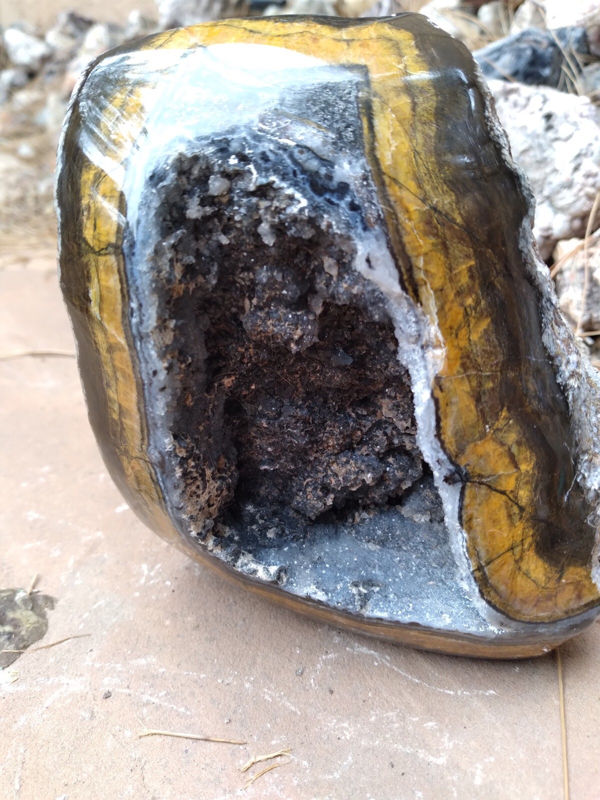 Black And Gold Specimen (New Mexico), 3 lbs & 8 ounces
