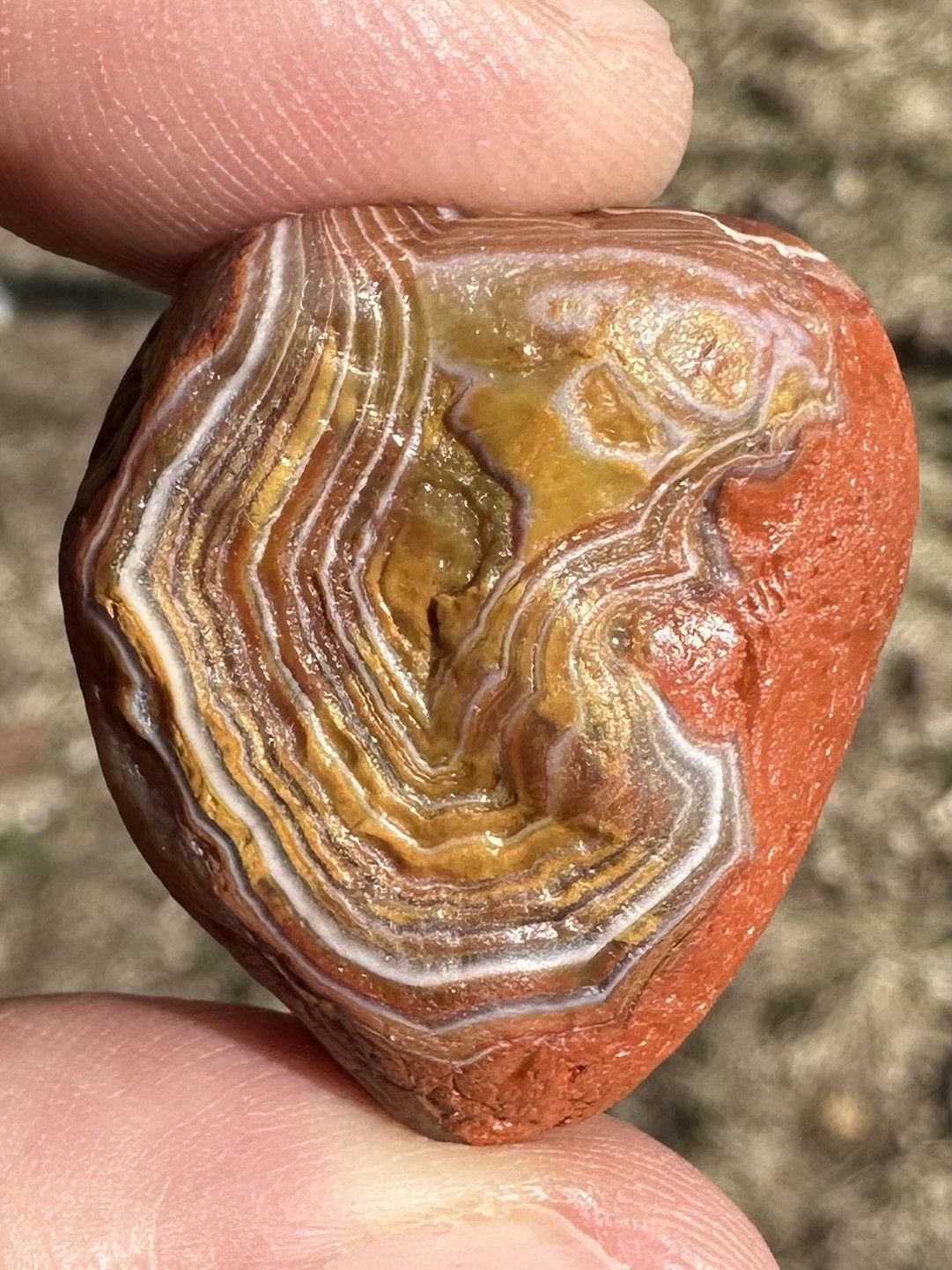 2.0oz Lake Superior Agate Bundle Of Natural Beauties!