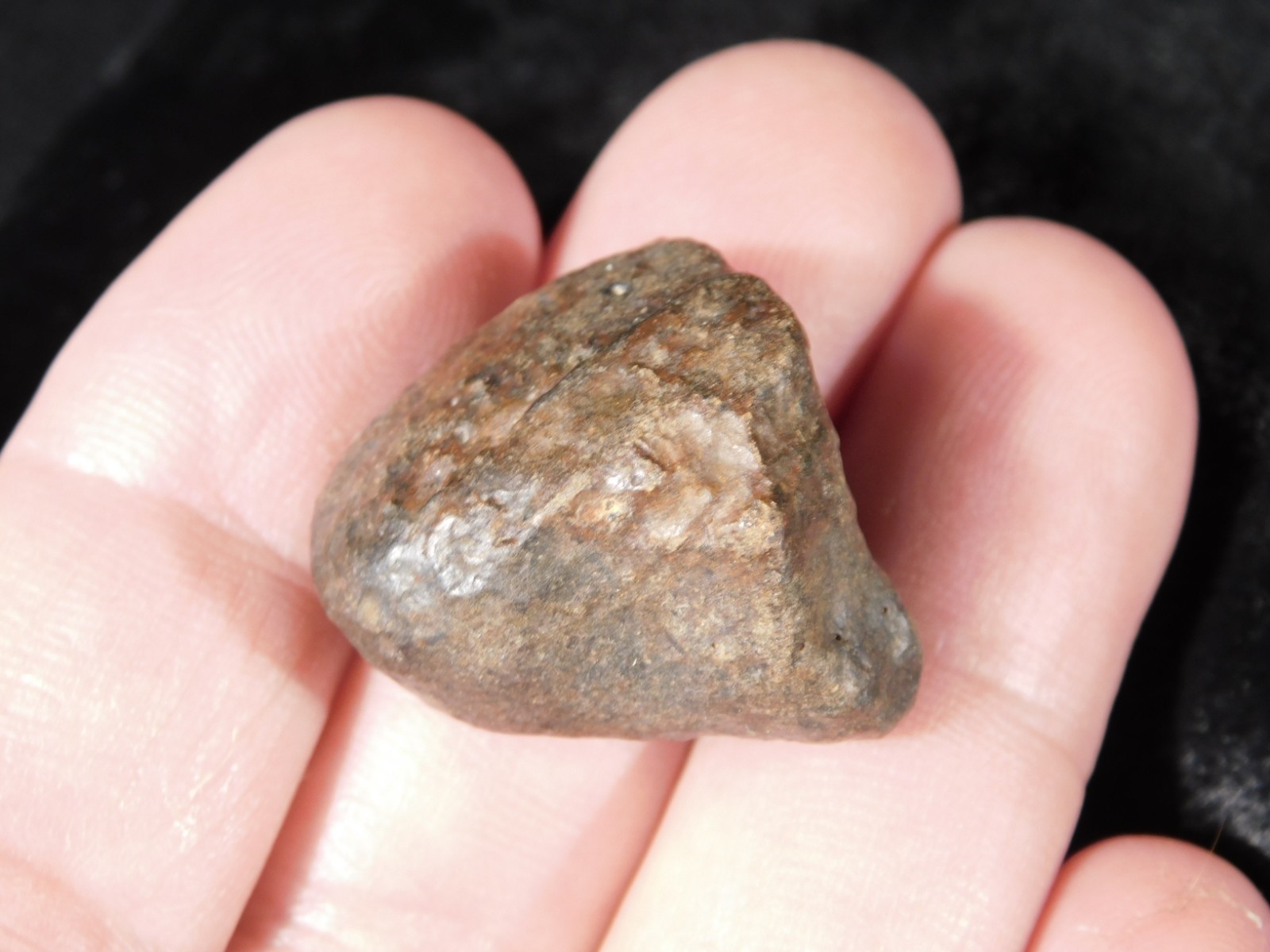 Small Stony METEORITE With Dark Fusion Crust 100% Natural Fell in Libya 15.4gr