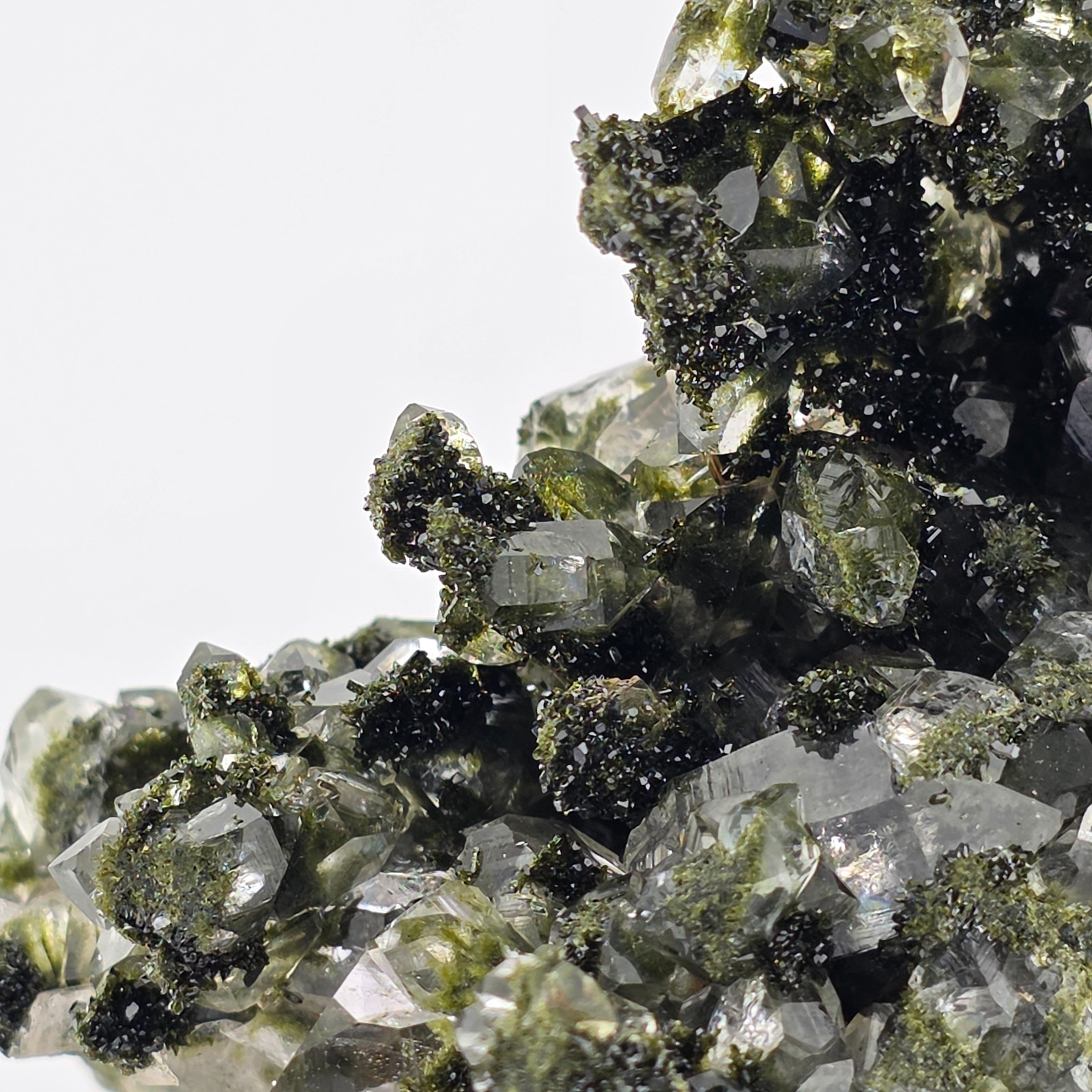 Rich, Forest Green Epidote and High Clarity Quartz