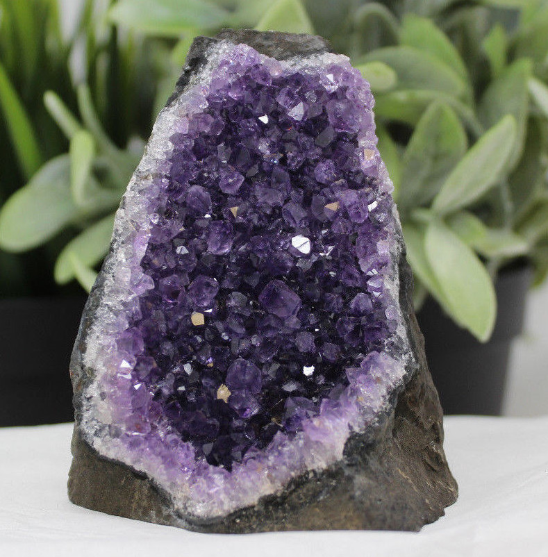 Stunning VERY LARGE Amethyst Cut Base Cluster Crystal Quartz Geode 1.1 – 1.8 lb