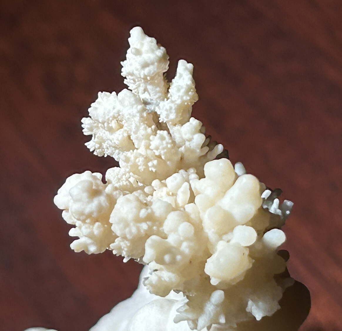 ARAGONITE on CALCITE – Stevenson-Bennett Mine, Doña Ana County, New Mexico