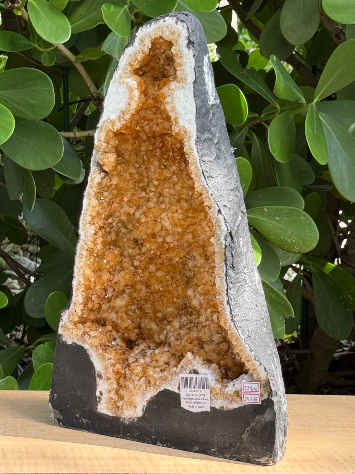 X-Large Citrine Cathedral, Citrine Geode, Honey Citrine Cluster, Pick a Weight
