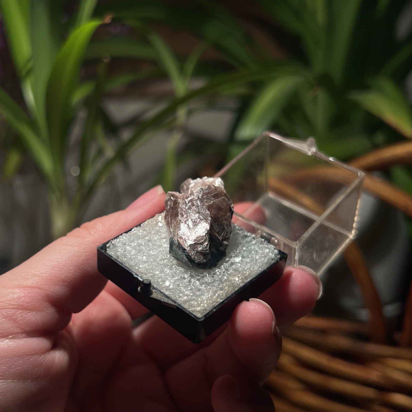 Margarite Thumbnail, Mineral Specimen, Uncommon
