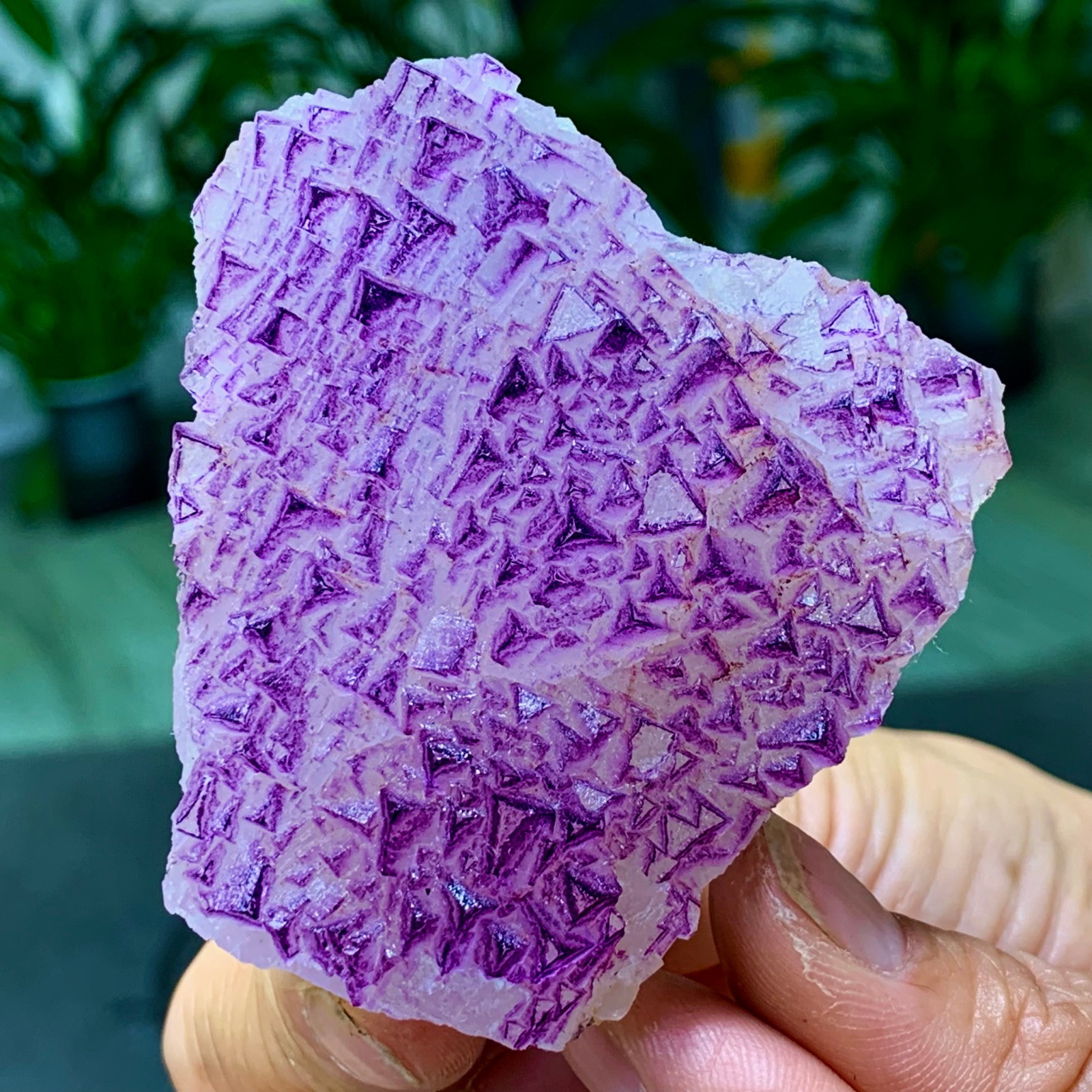 153G Natural fluorite purple edged cubic crystal mineral sample