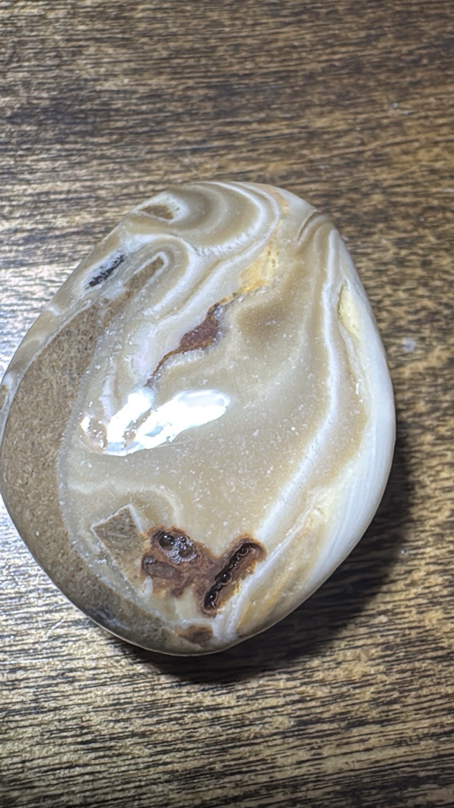 UnPolished Brown and White Agate Stone Specimen – Surf Tumbled Mineral