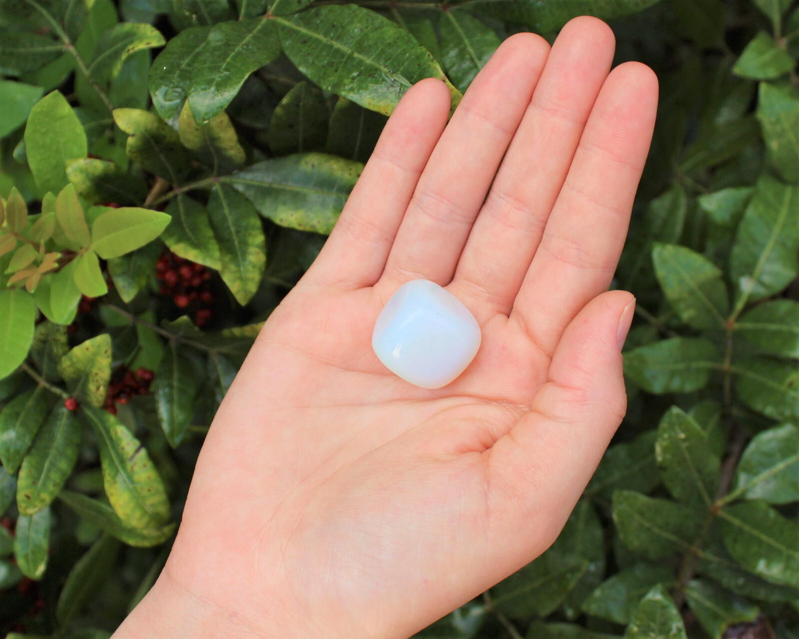1 lb Bulk MEDIUM/LARGE Opalite Tumbled Stone Crystal Healing Gemstone 16 oz