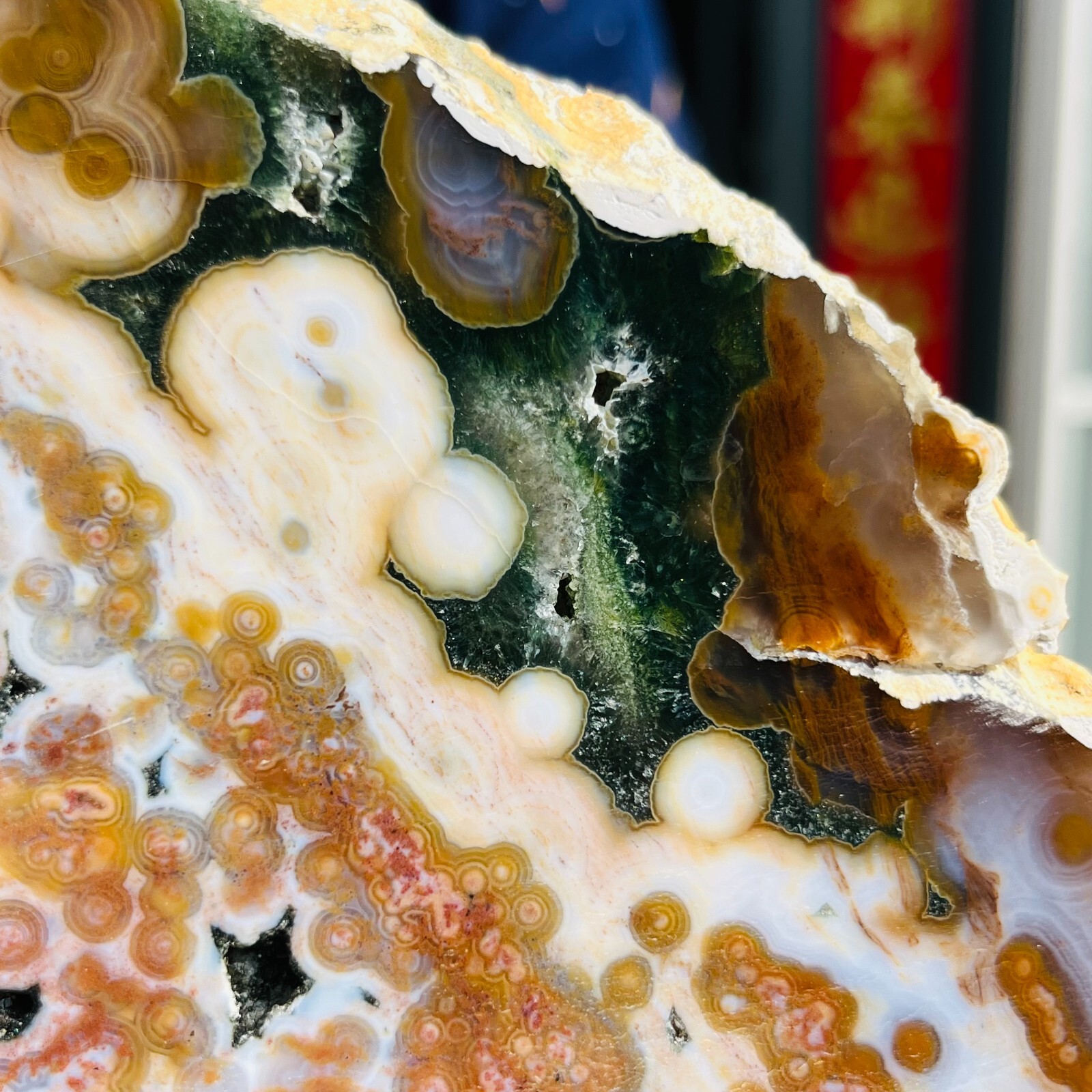 3.75LB Rare Natural The 8th Vein Ocean Jasper Slab Quartz Crystal Reiki Healing