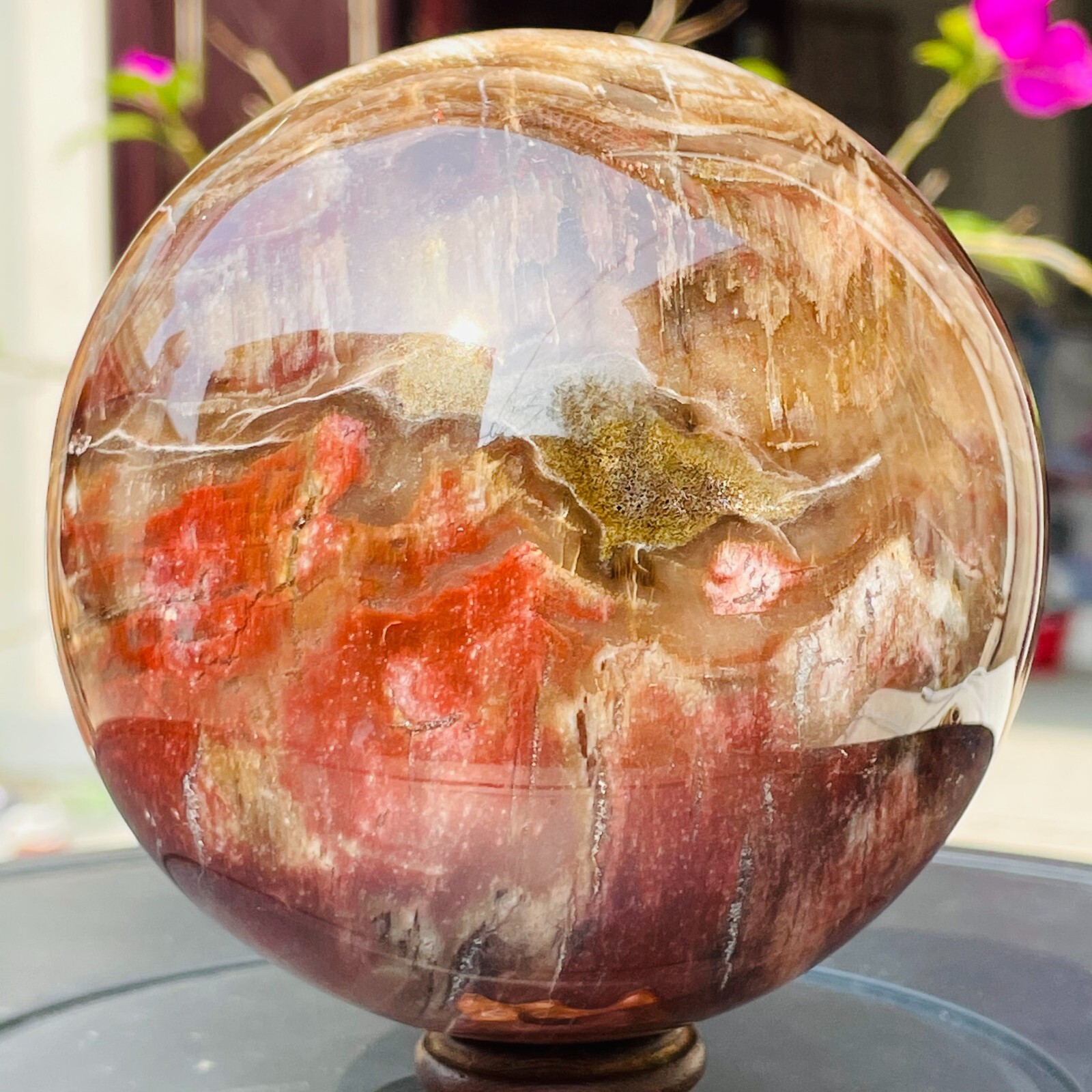 1196g Large Red Petrified Wood Crystal Ball Fossil Polished Sphere Specimen