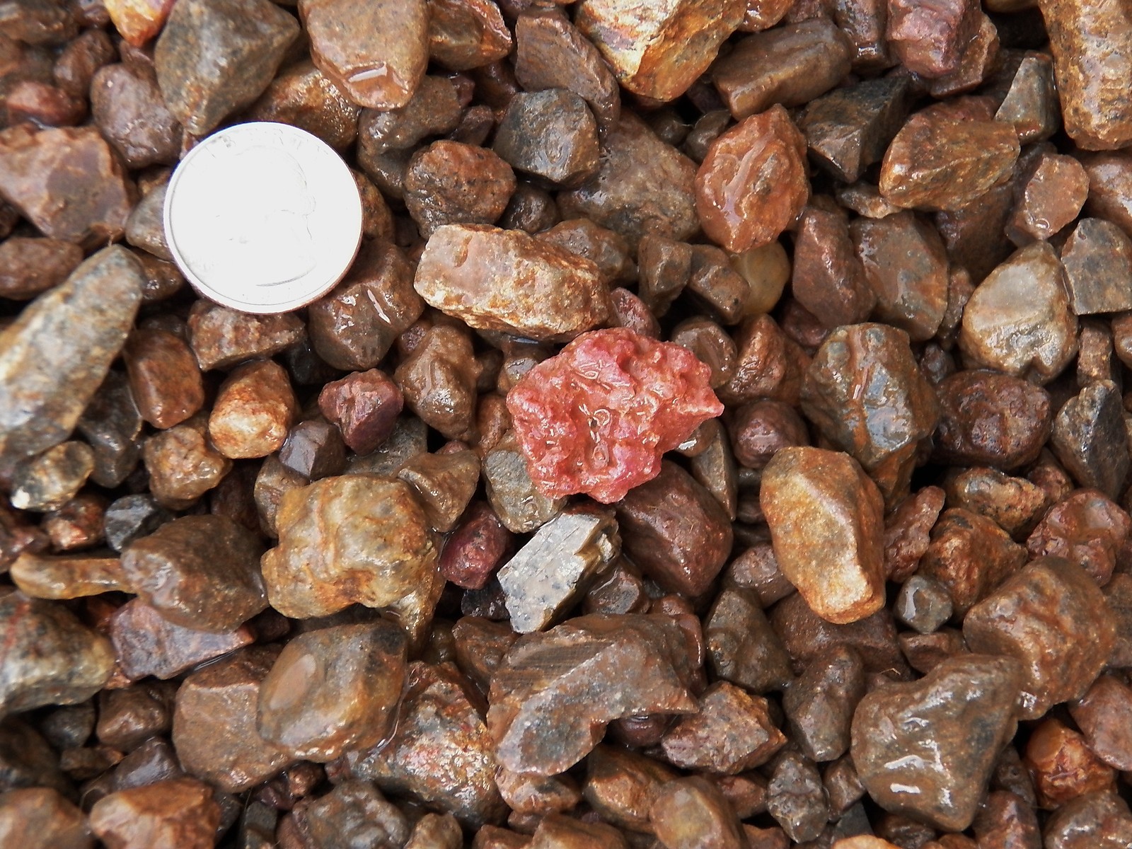 500 Carat Lots of Ruby Rough – Plus a FREE Faceted Gemstone