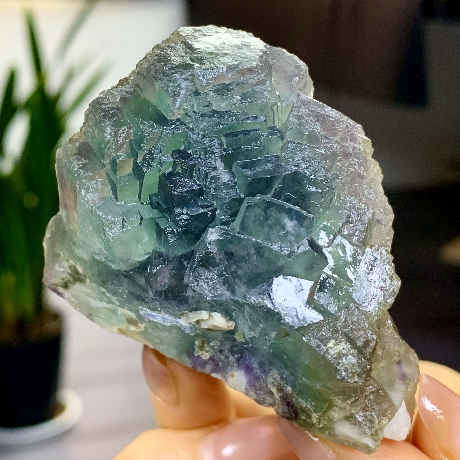 197G Rare transparent blue green cubic fluorite mineral crystal sample