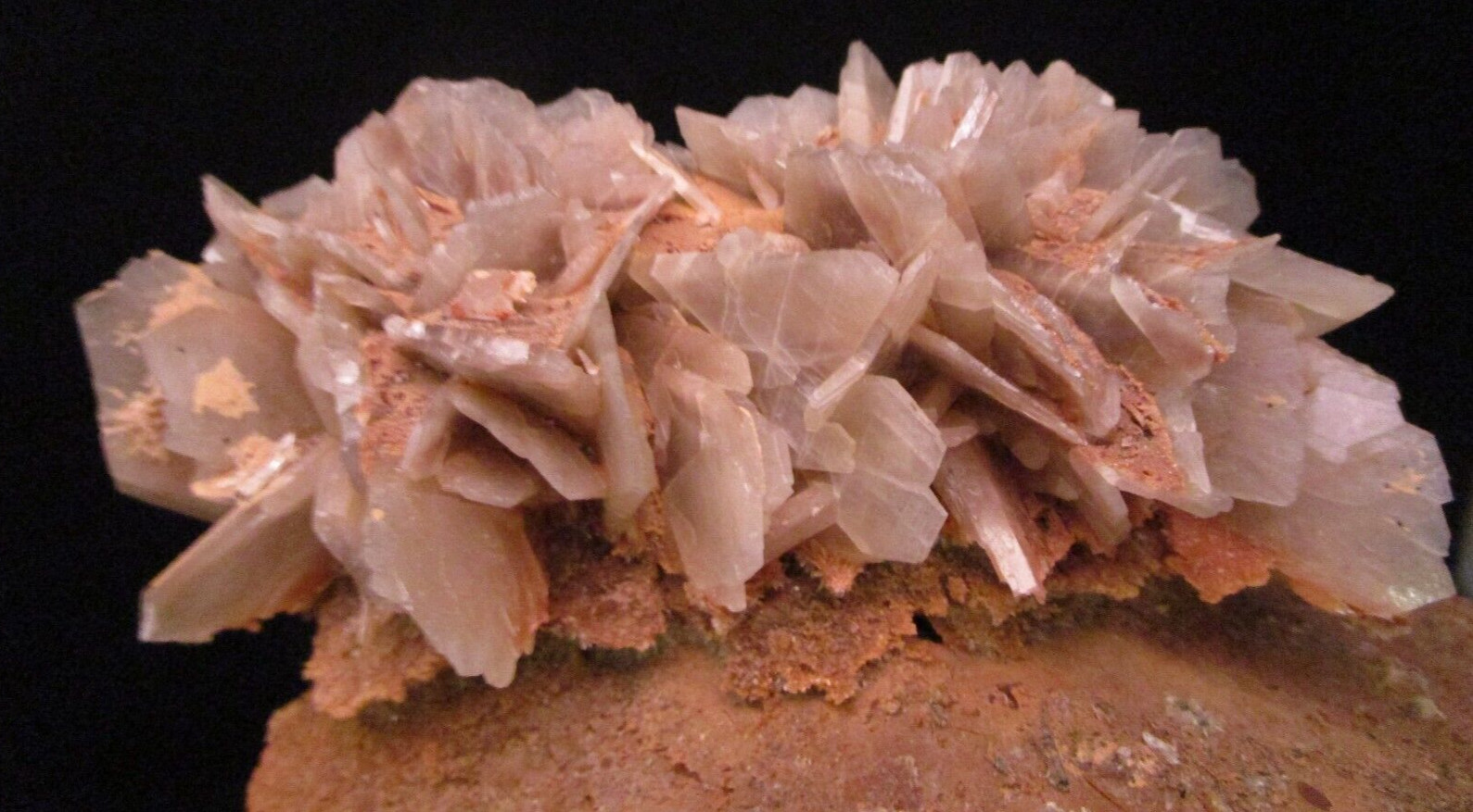 * Interesting and Unique Barite Gem Crystal Blade Clusters on Tan Matrix