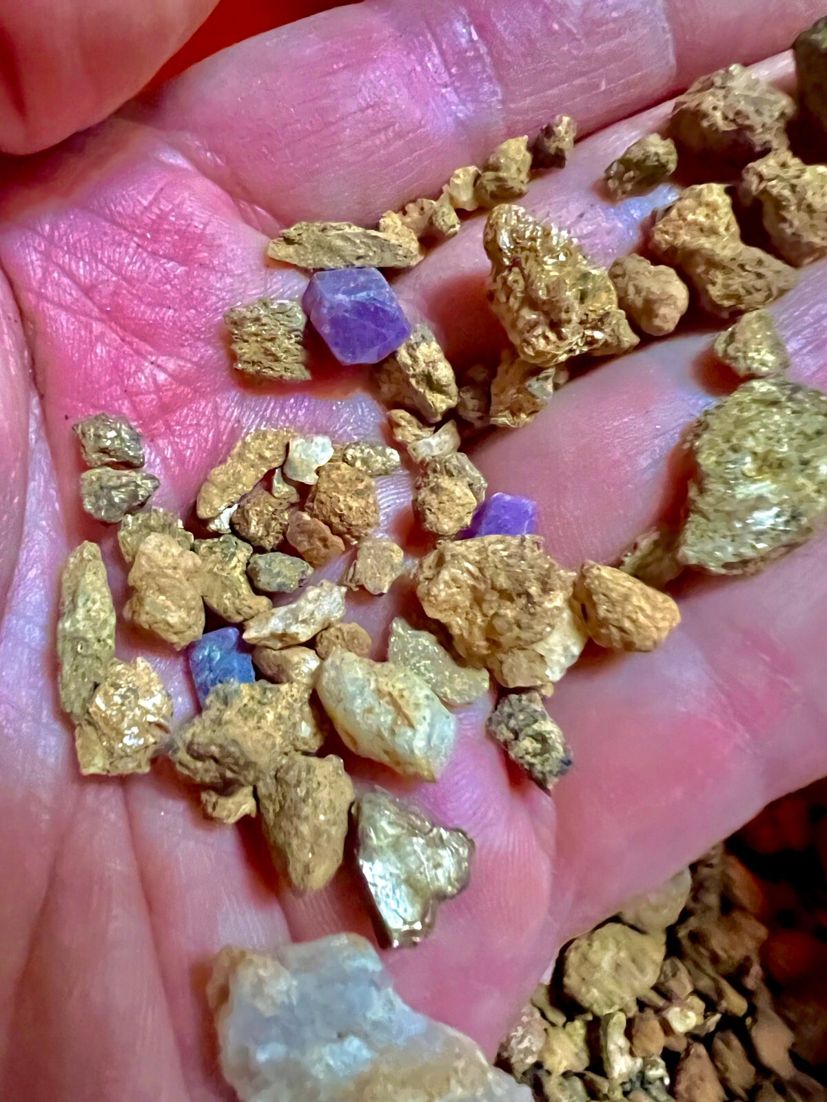 SAPPHIRE – Rough Stone Mix GEMSTONE PAYDIRT 2LB Gem Pay Dirt Concentrate Mining