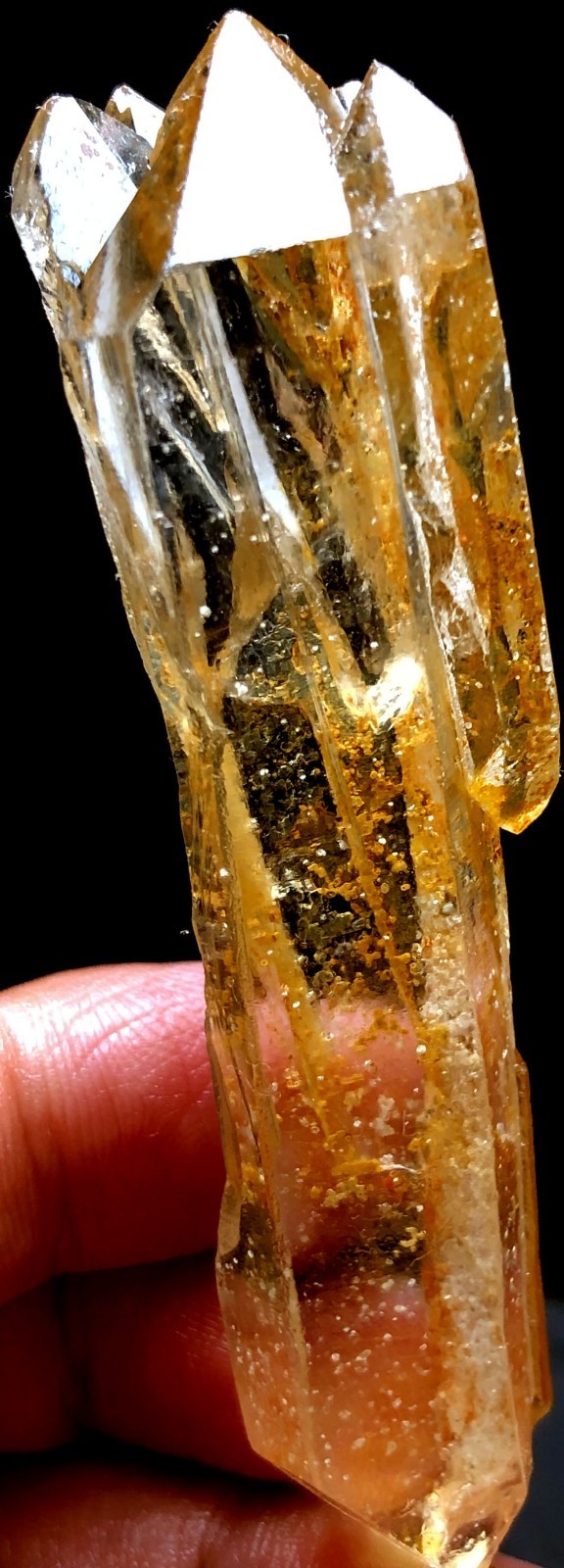 46g 1PC Himalayan Natural singing Lemurian Quartz Lemurian Crystal Point t917