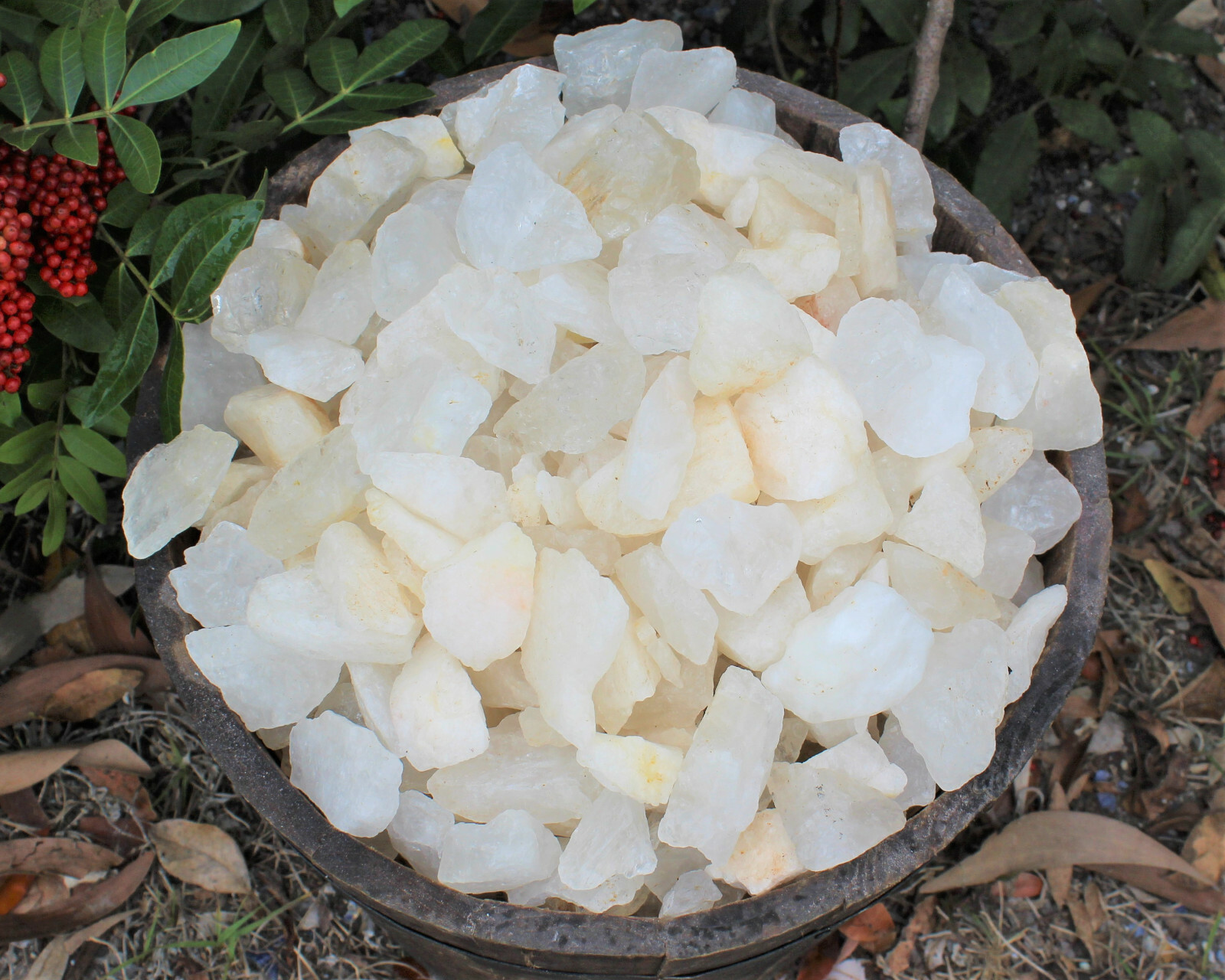 1/2 lb Bulk Lot Natural Rough Clear Quartz Crystals (Raw Gemstone Healing 8 oz)
