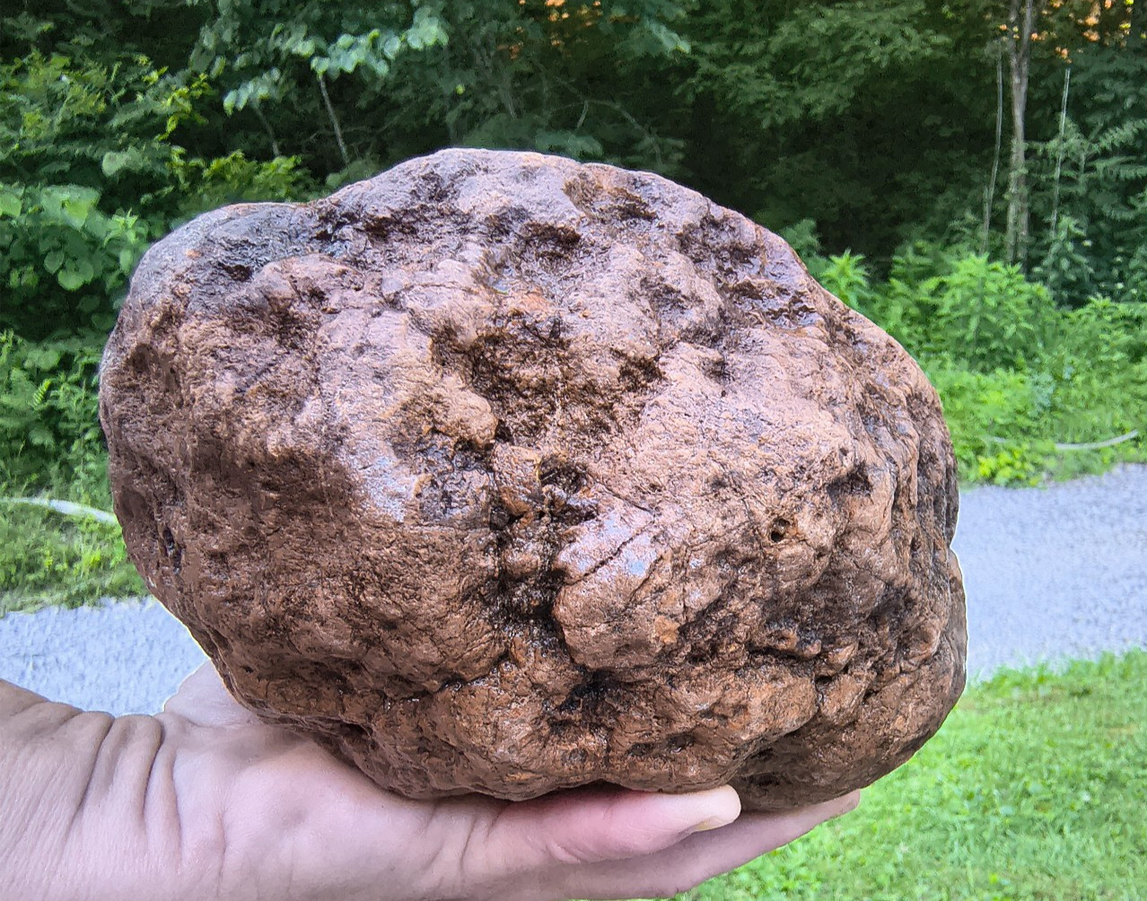 10.07b Kentucky Geode Unopened Natural Crystal Geode + Bonus