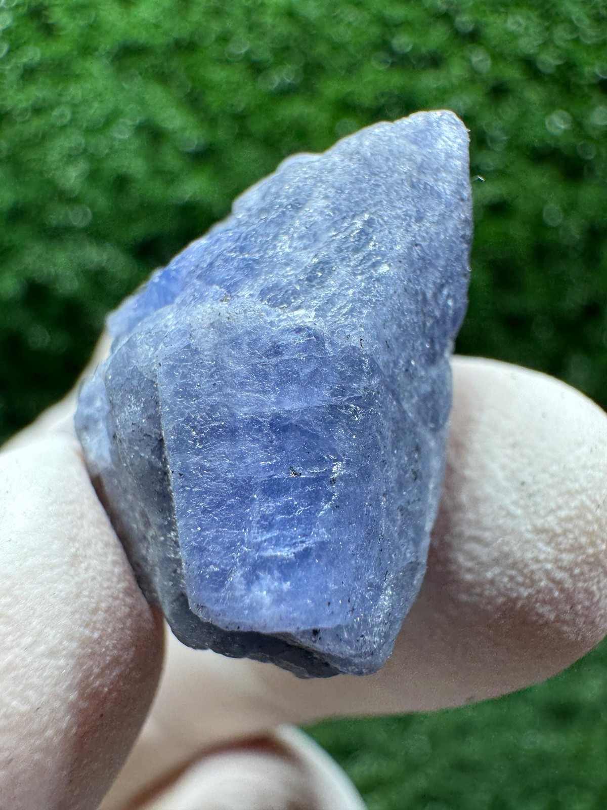 Crazy TANZANITE Crystal with COLOR CHANGE under yellow/white light / F214