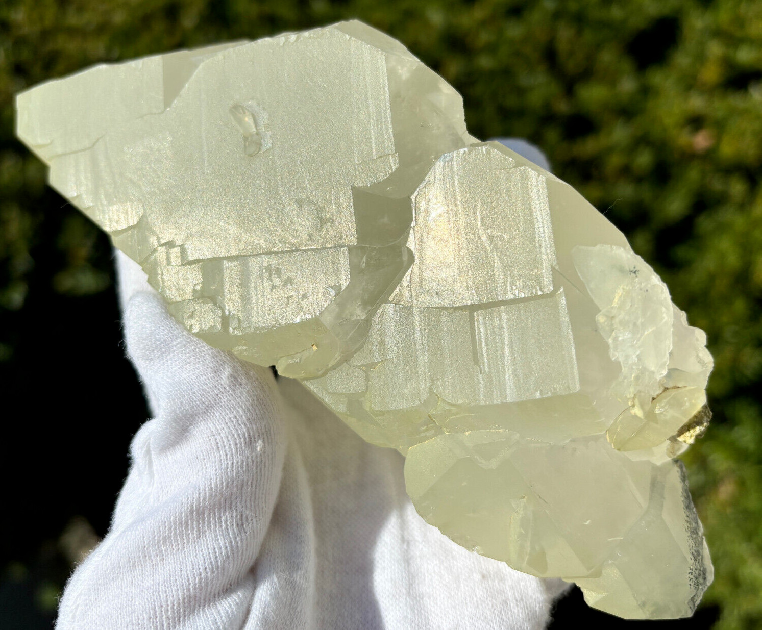 USA SALE SEE VIDEO 479g 1LB+ 6.1″ LARGE ELESTIAL EPIDOTE QUARTZ CRYSTAL SPECIMEN