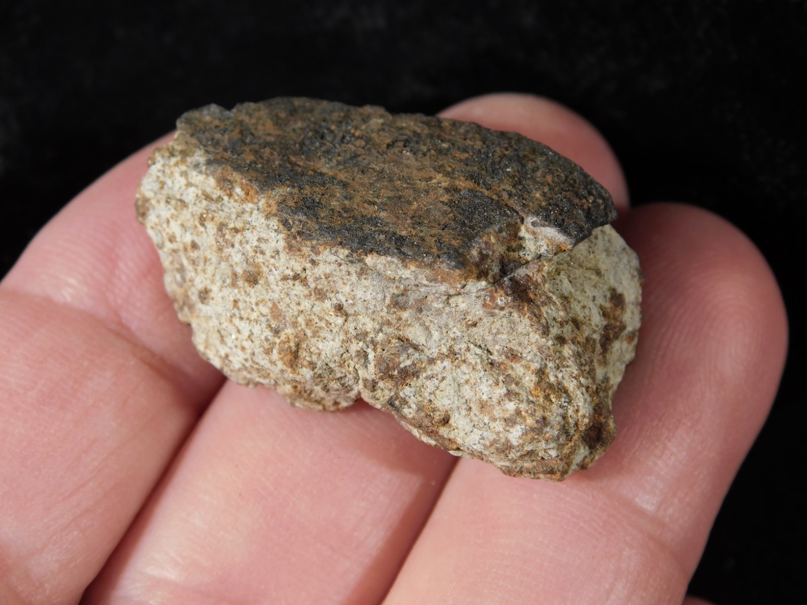 Classified NWA 8245 METEORITE Spots of Dark Fusion Crust! Erfoud, Morocco 21.0gr