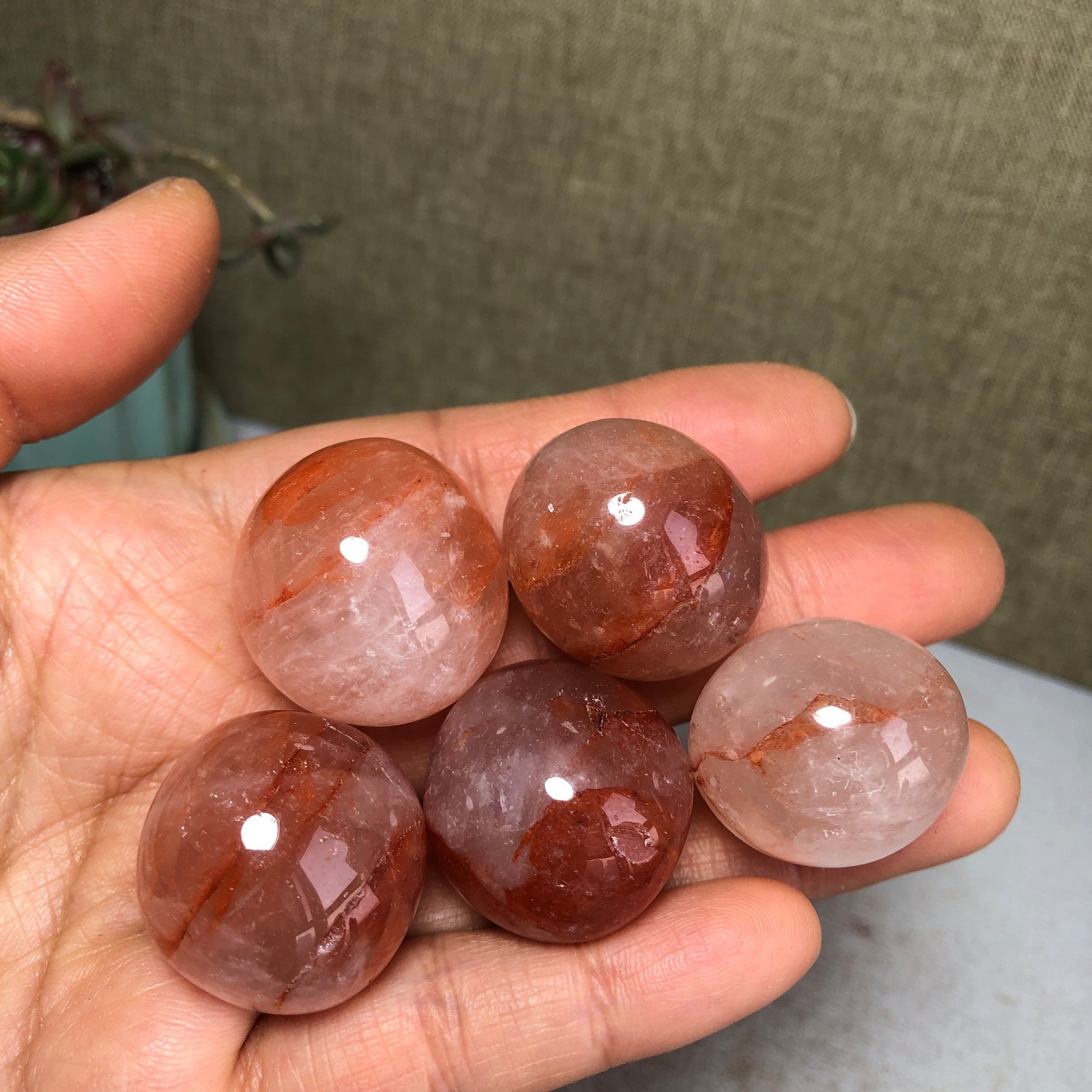5pcs Natural Red gum flower semi-precious Crystal specimens 111g A3579