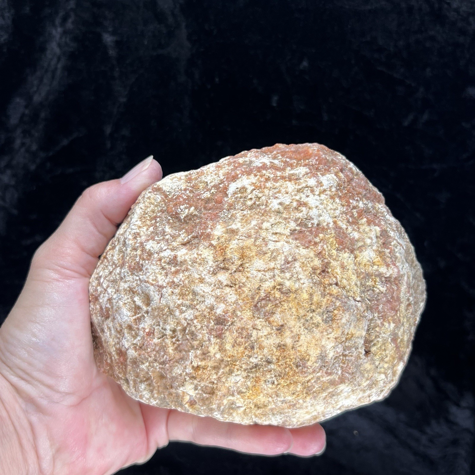 5-3/4″ Large Red Geode Uncut Unopened Crystal Chalcedony Quartz Rough 3.5Lb